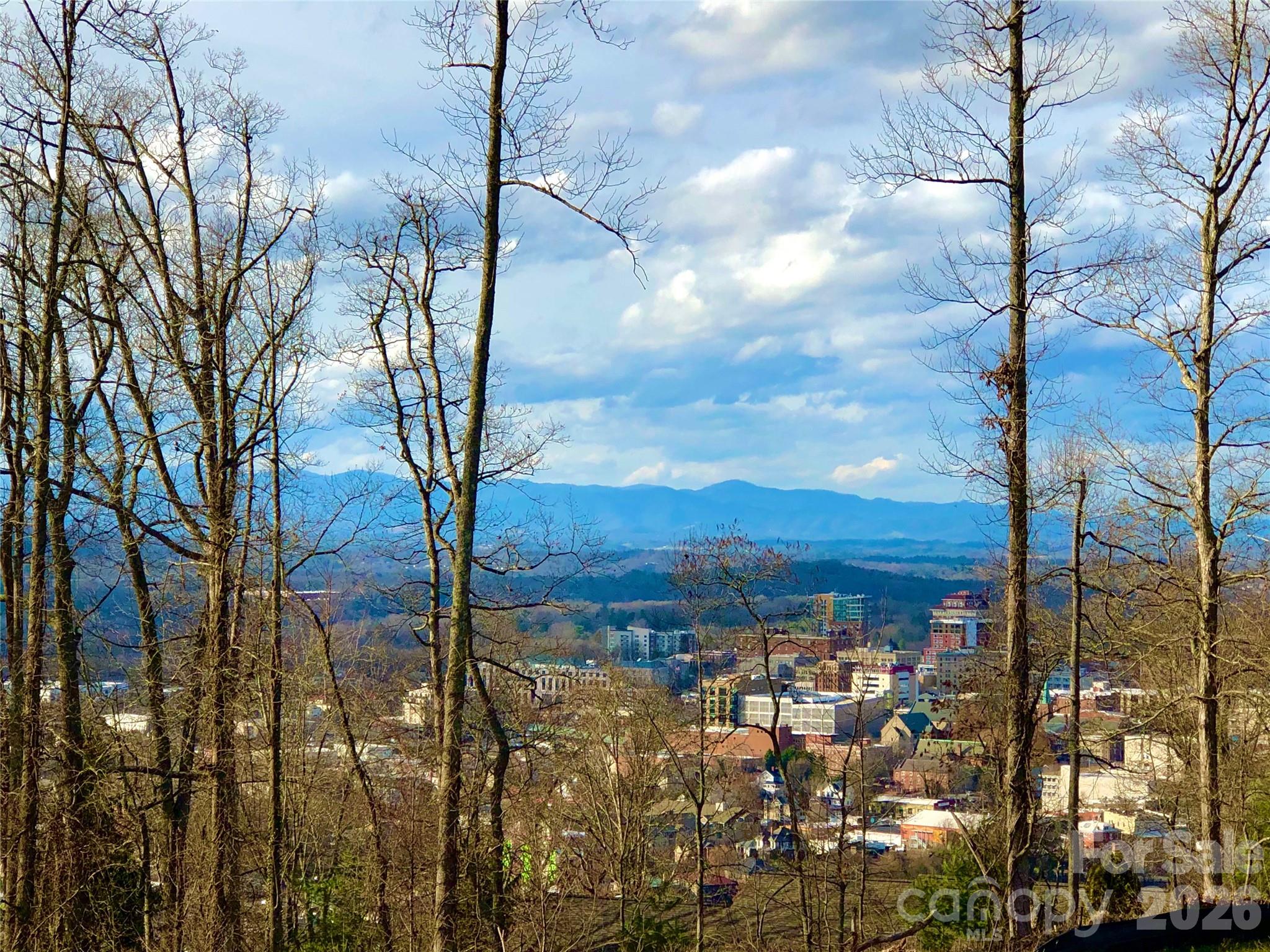 106 McCauley Drive — Asheville