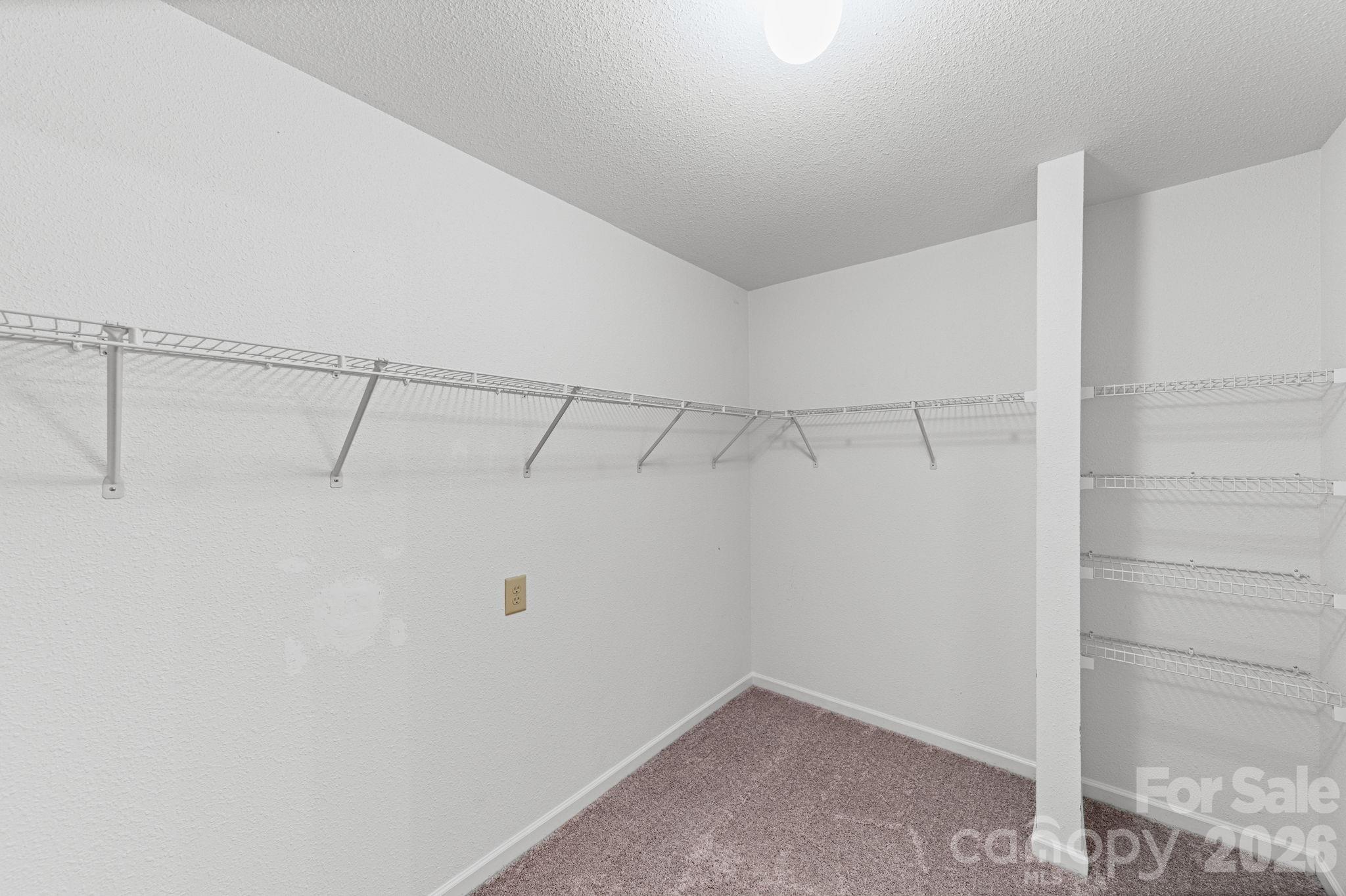2902 Royal Fern Lane — Charlotte
