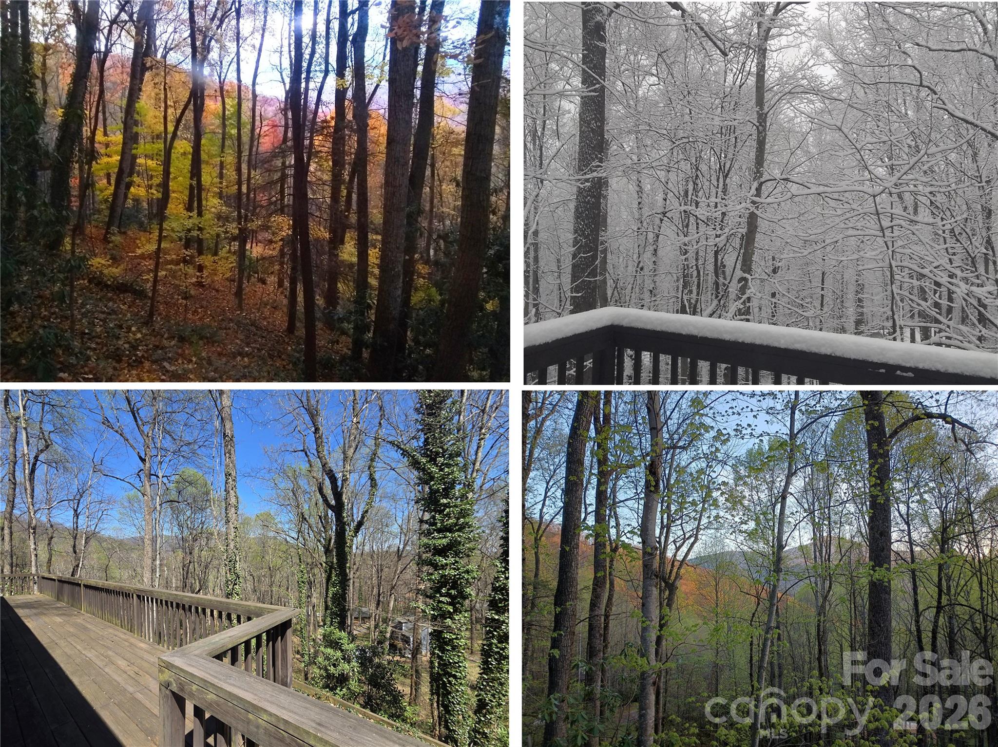 662 Locust Drive — Maggie Valley