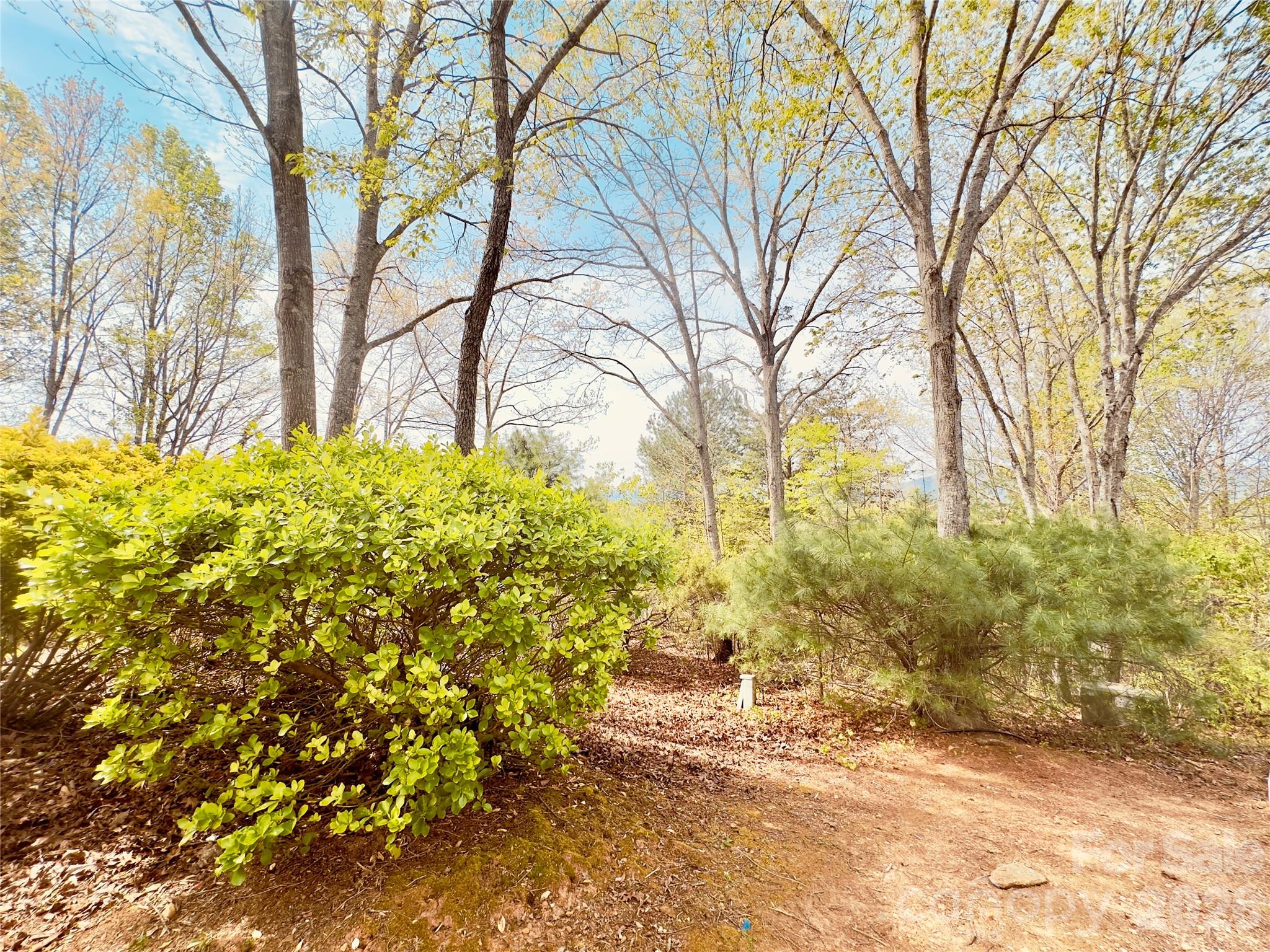 27 Magnolia Drive — Nebo