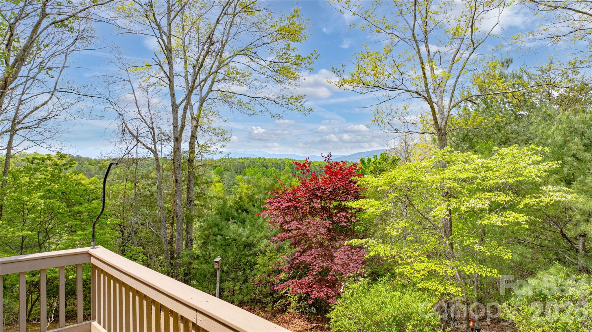 27 Magnolia Drive — Nebo
