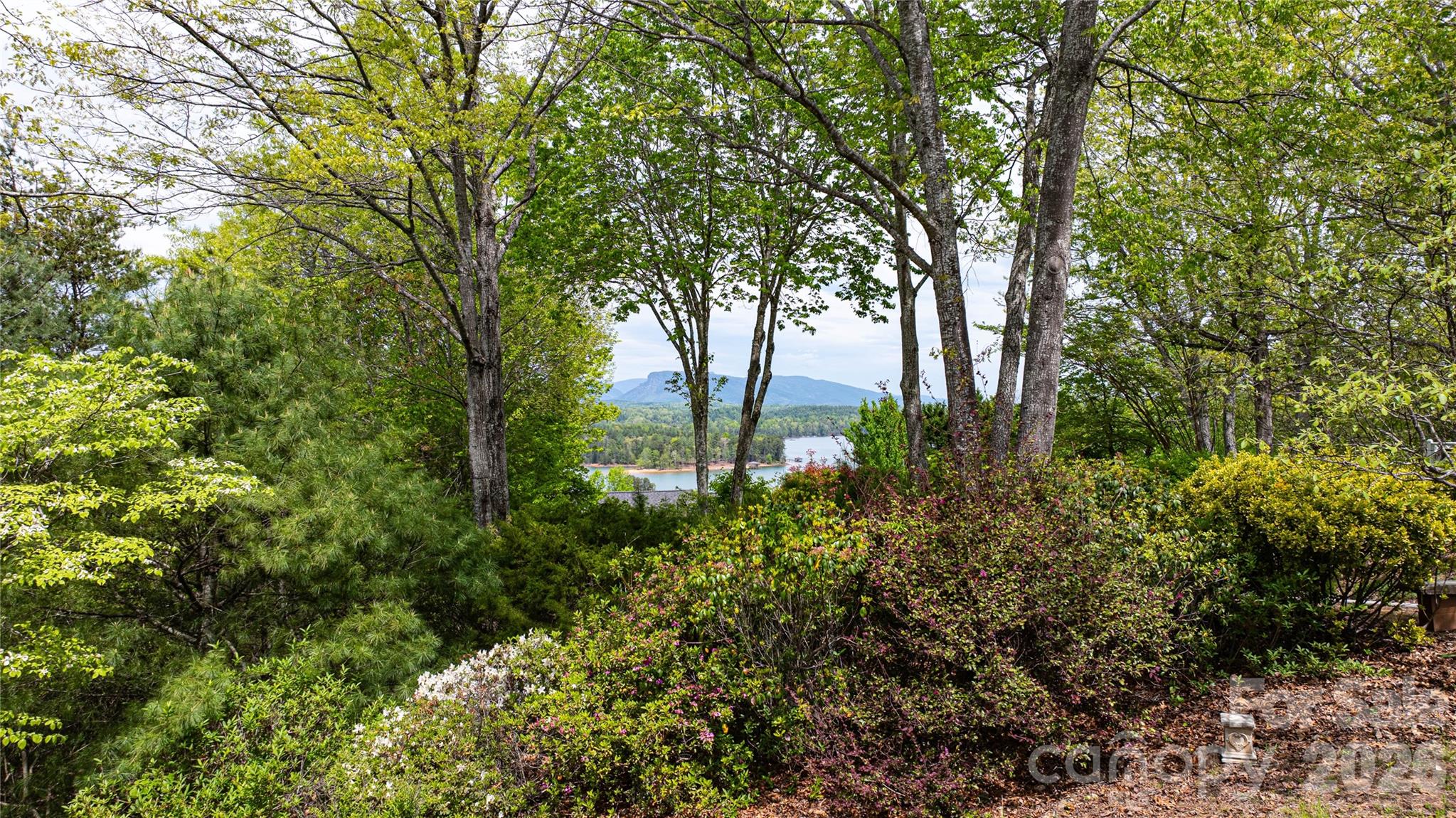 27 Magnolia Drive — Nebo