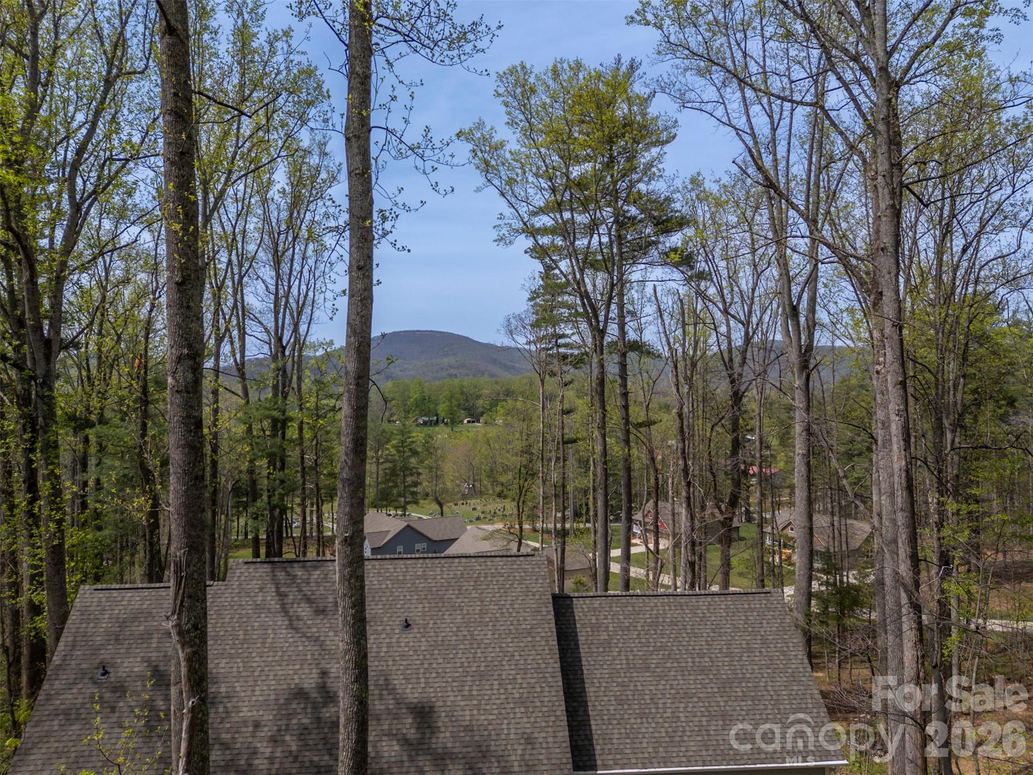 88 Pounding Mill None — Hendersonville