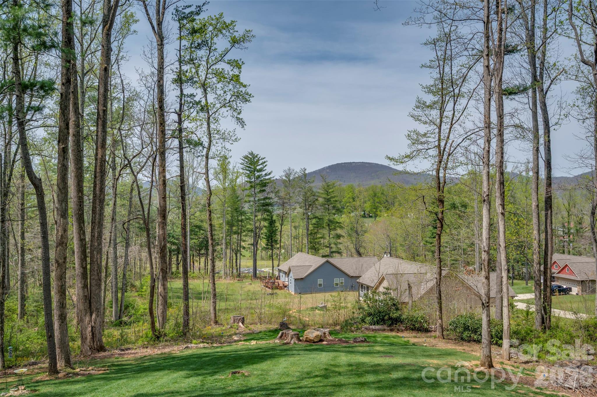 88 Pounding Mill None — Hendersonville