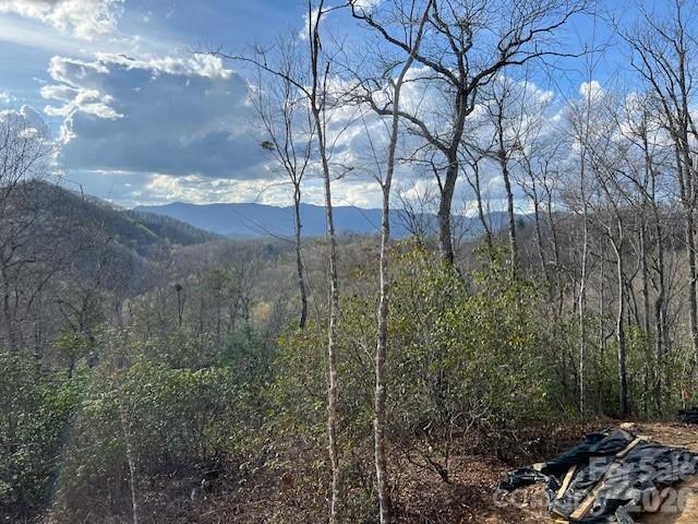 646 Fontana Ridge Road — Bryson City