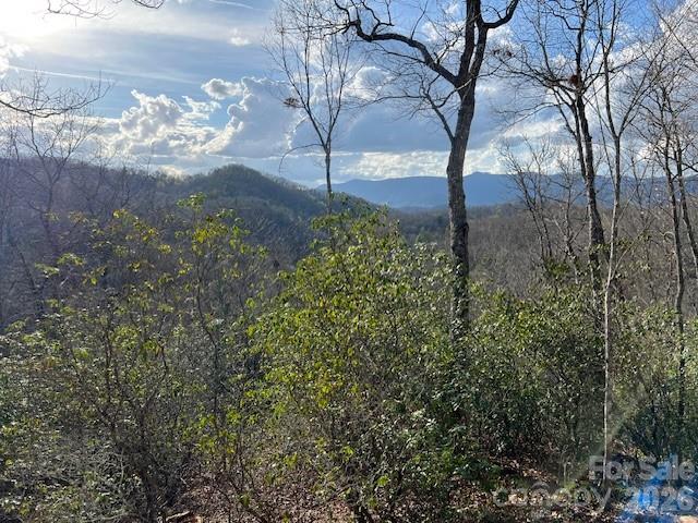 646 Fontana Ridge Road — Bryson City