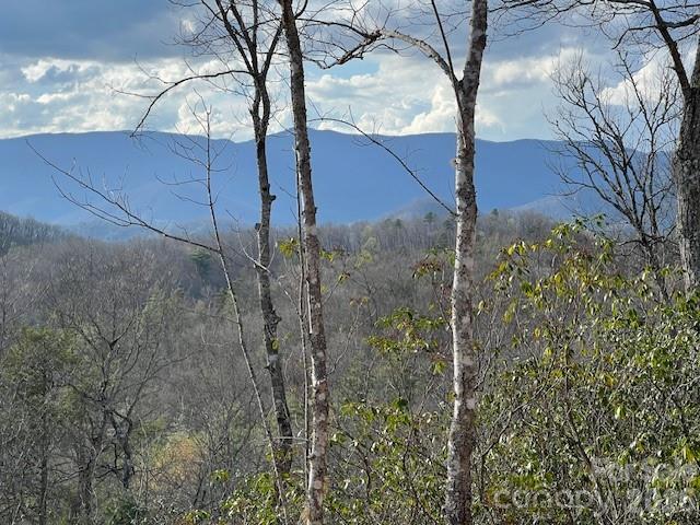 646 Fontana Ridge Road — Bryson City