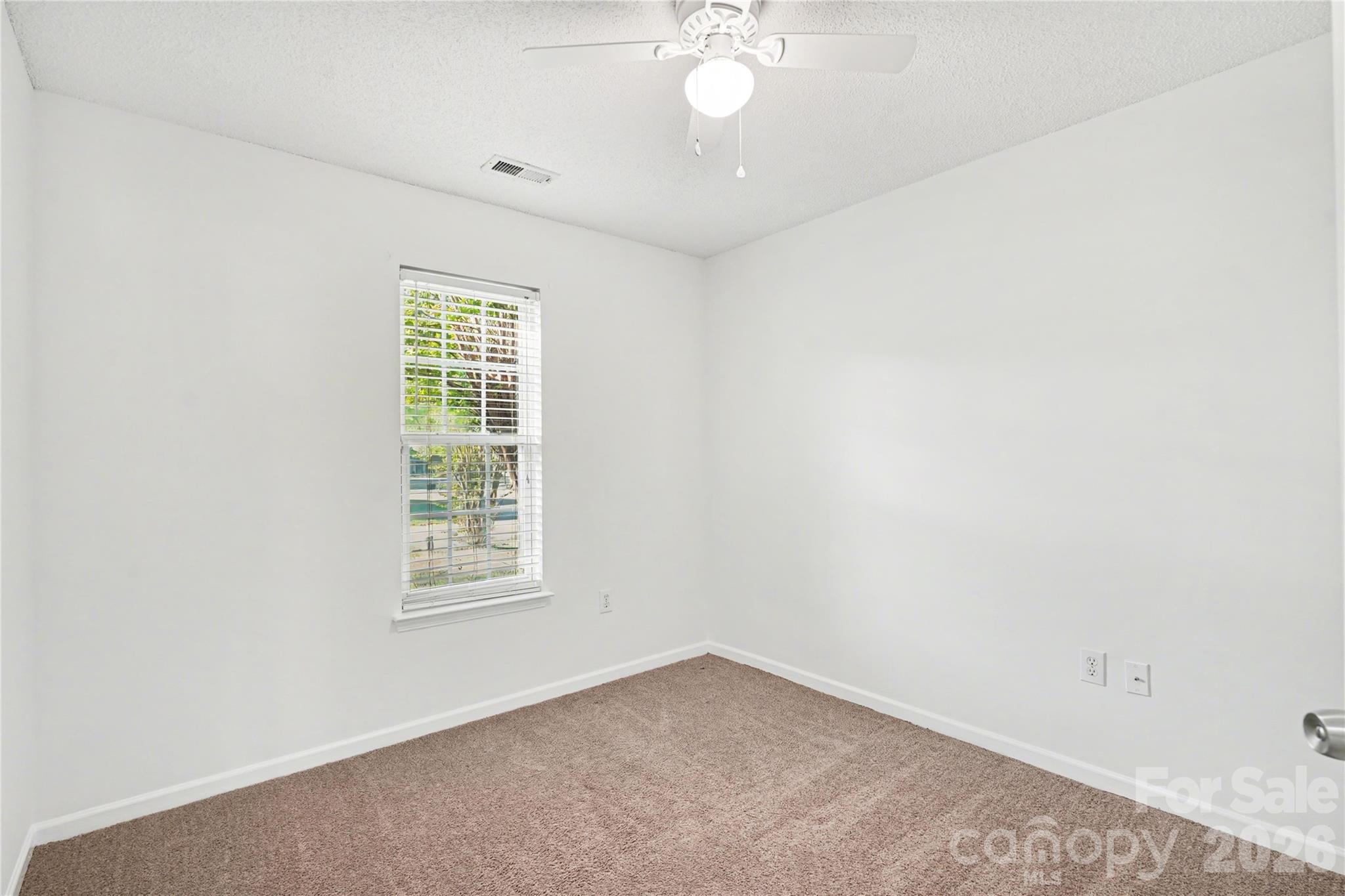 11709 BLACK MAPLE Avenue — Charlotte