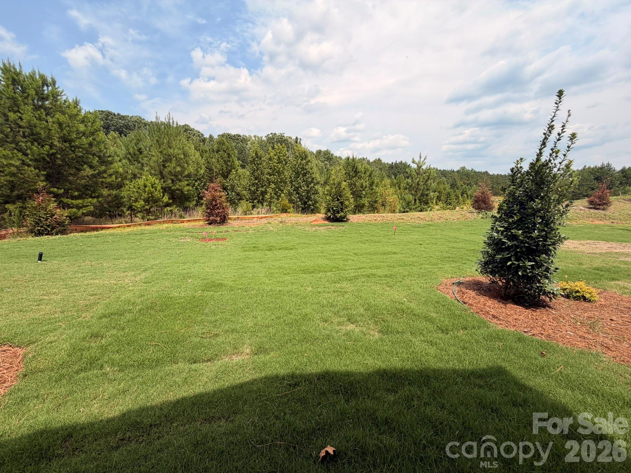 450 Blythe Townhome Lane — Waxhaw