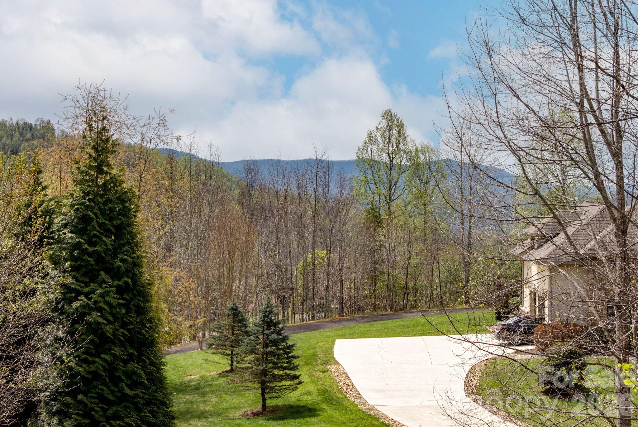 315 Crossvine Trail — Hendersonville
