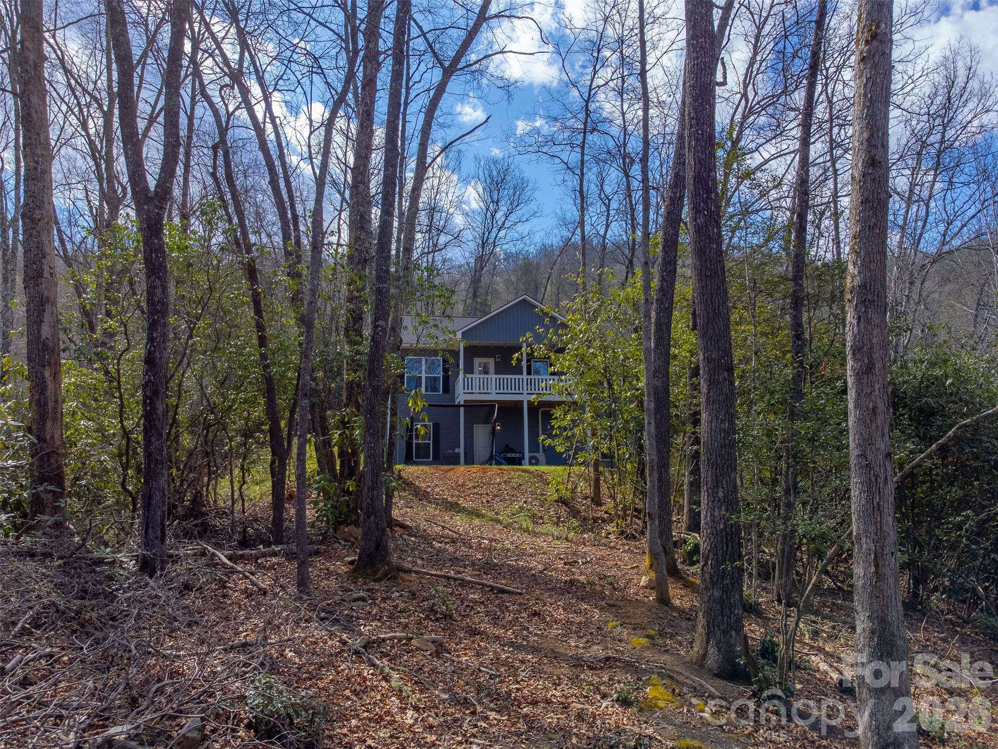254 Ivory Lane — Sylva