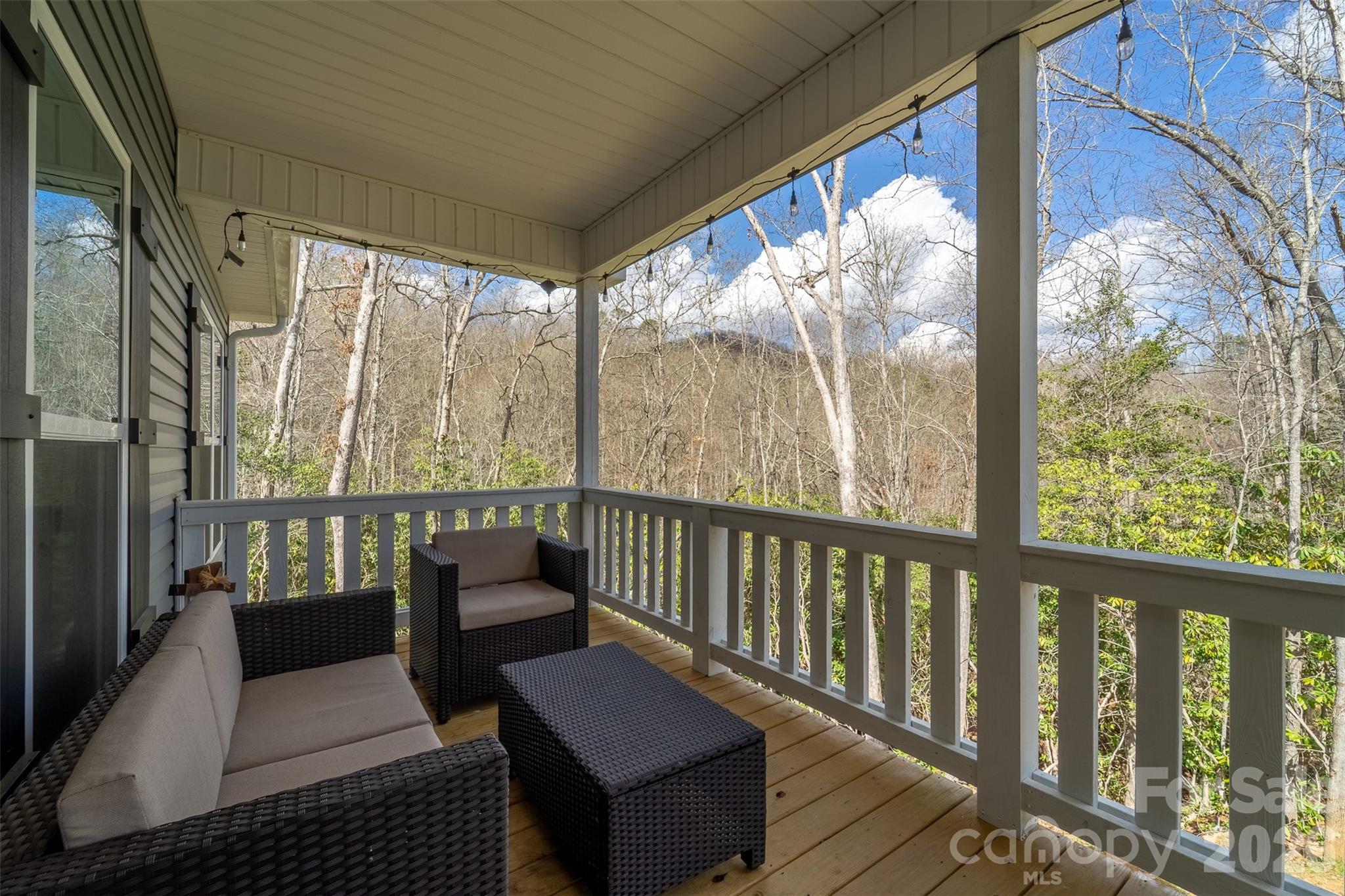 254 Ivory Lane — Sylva
