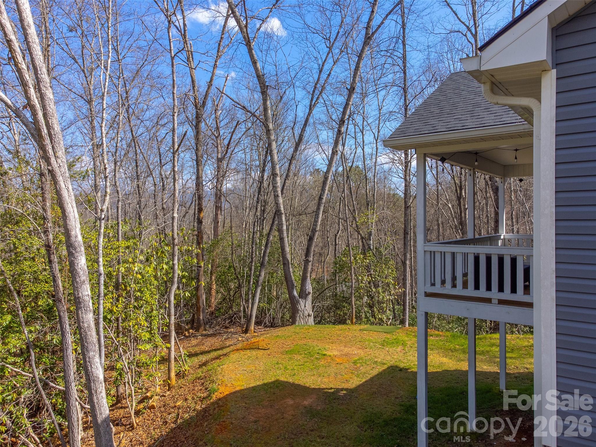 254 Ivory Lane — Sylva