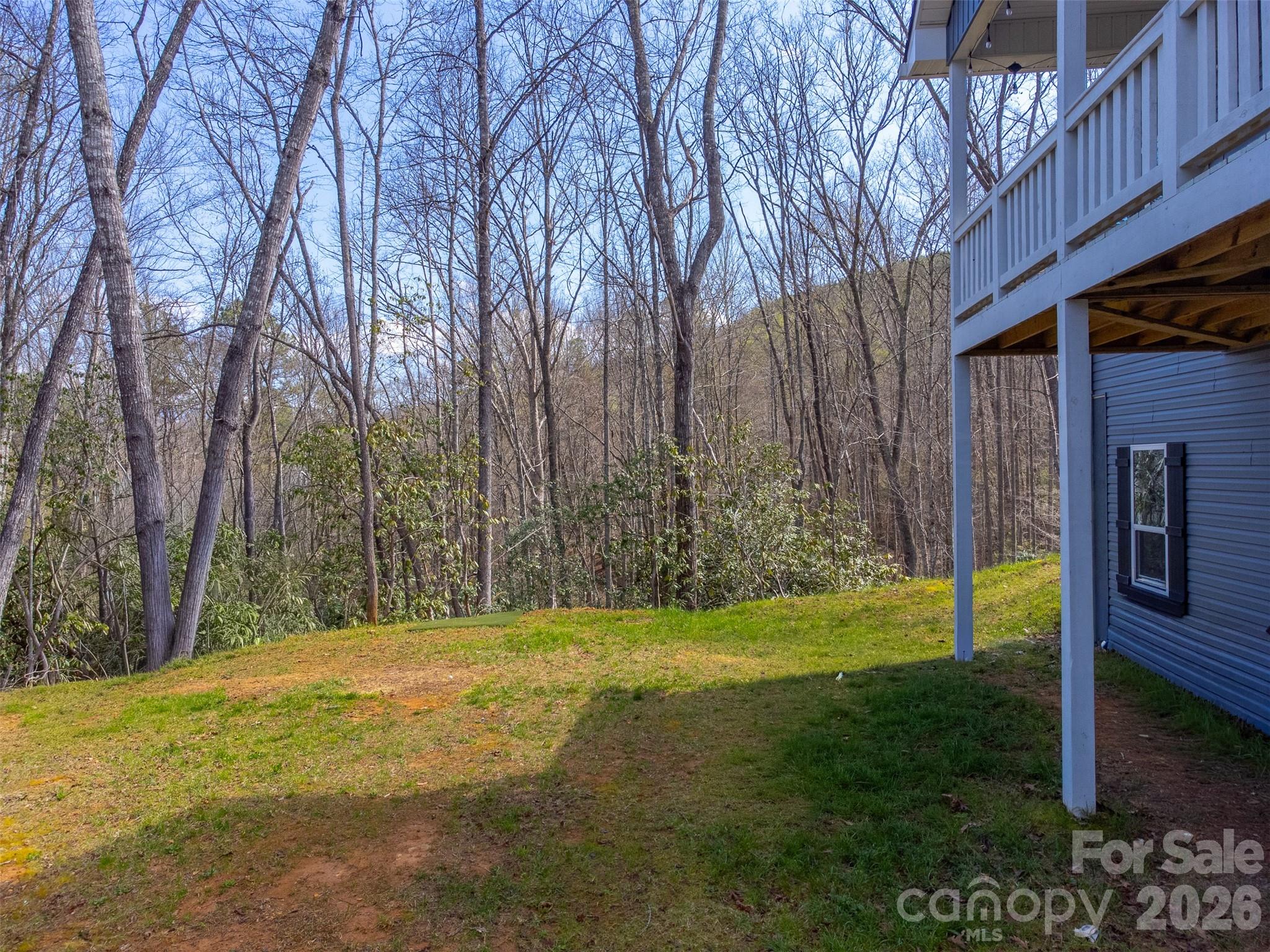 254 Ivory Lane — Sylva