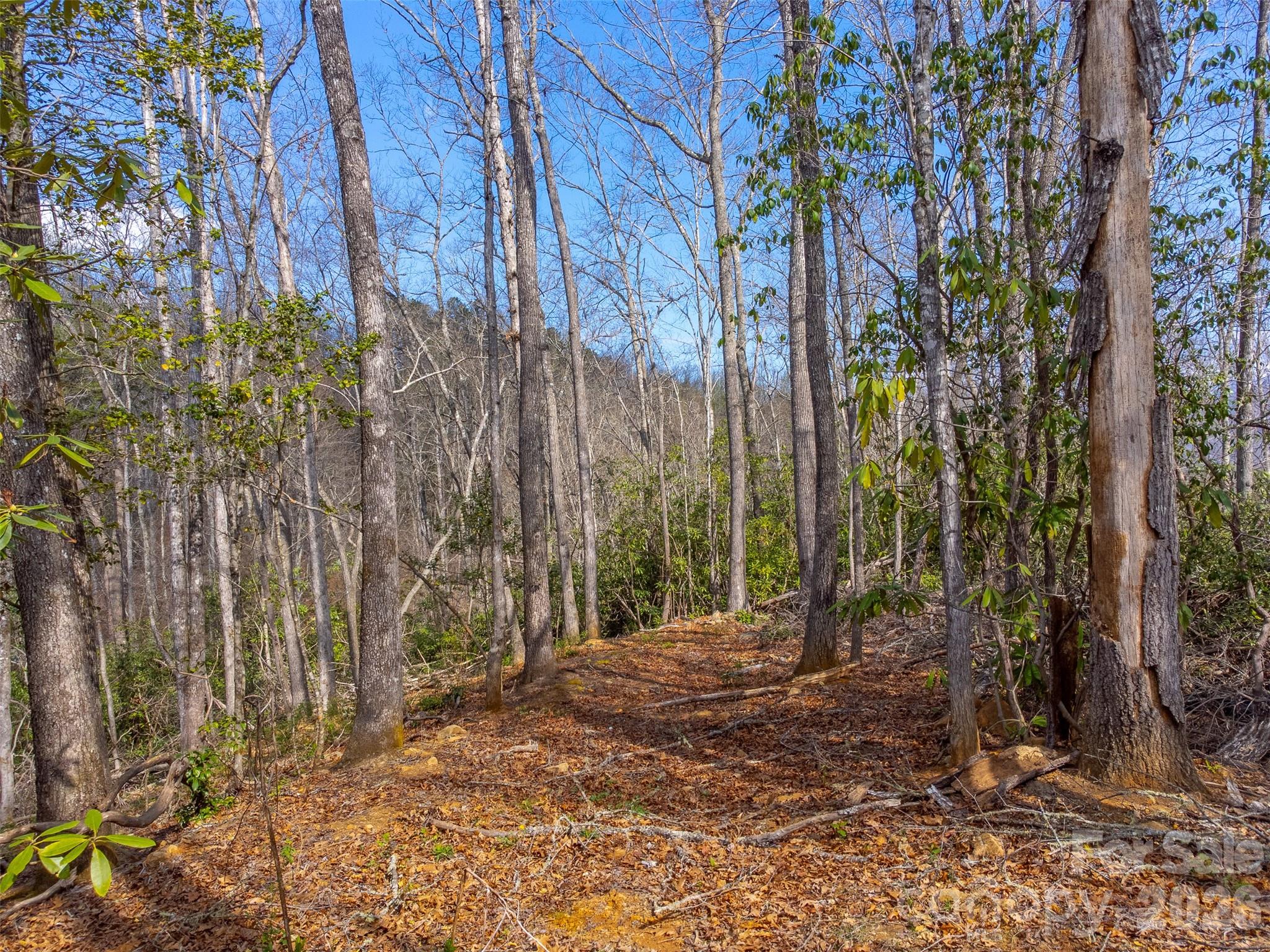 254 Ivory Lane — Sylva