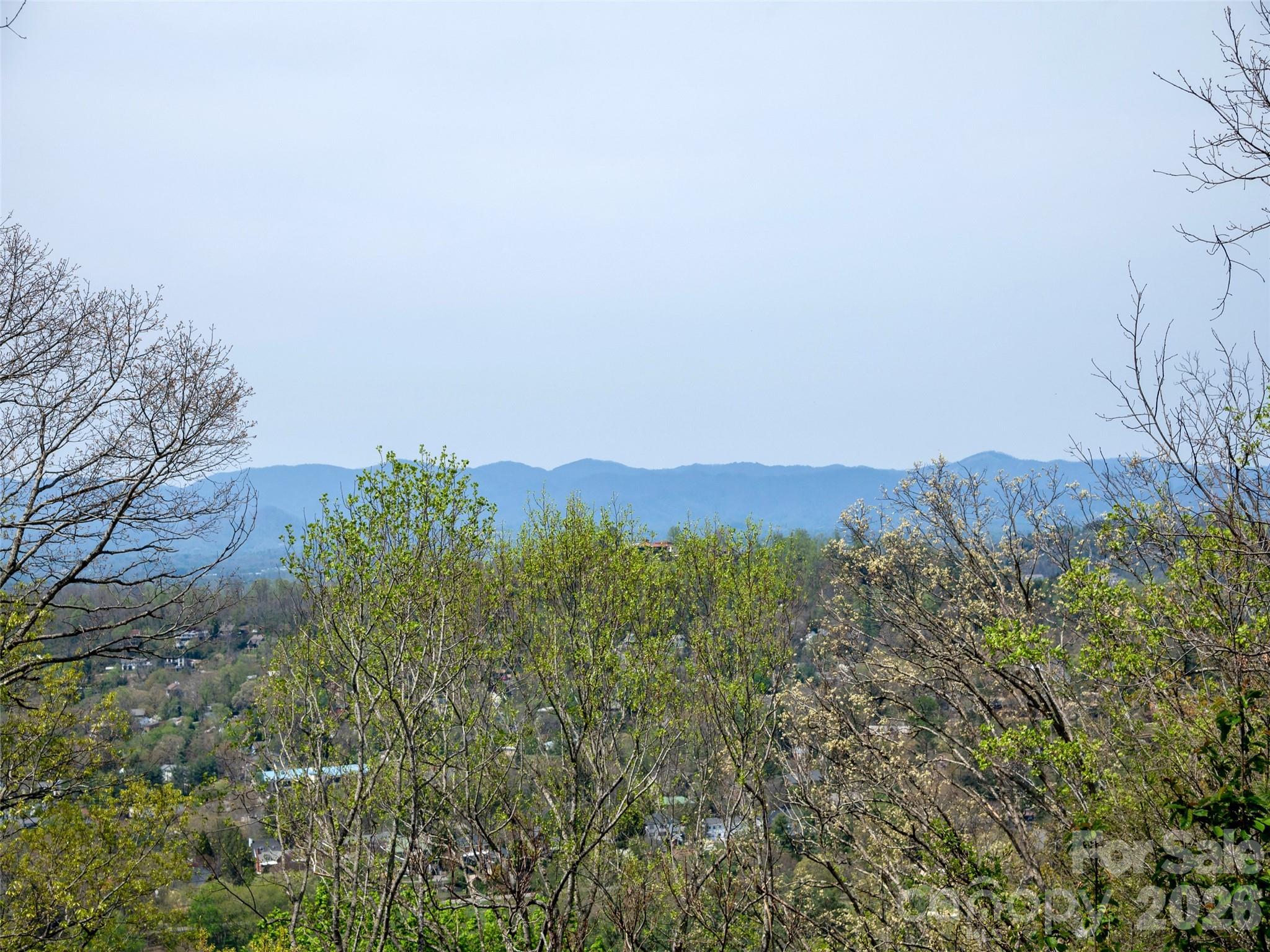 403 Cherokee Road — Asheville