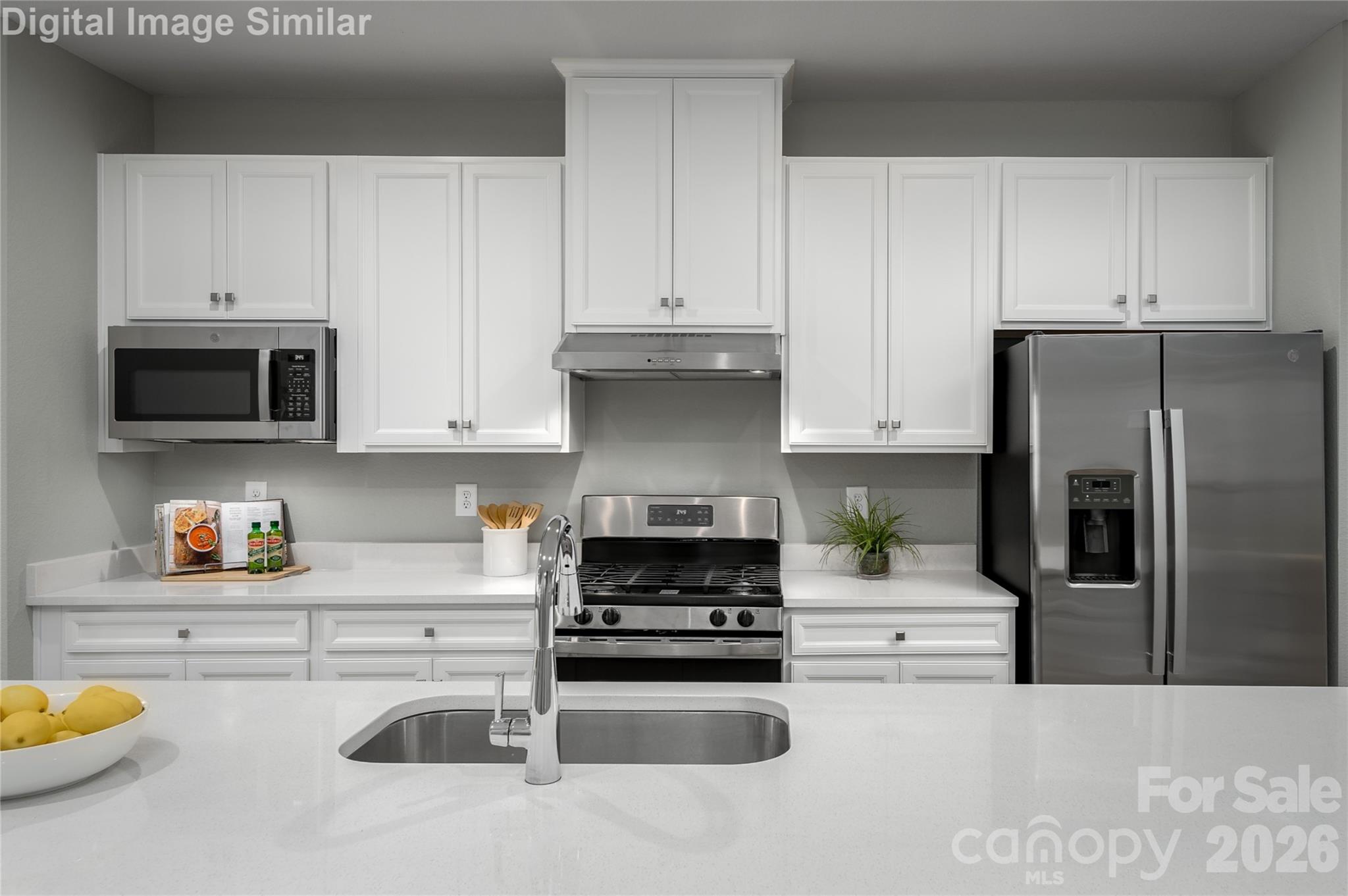 11150 Emerson Landing Drive — Charlotte