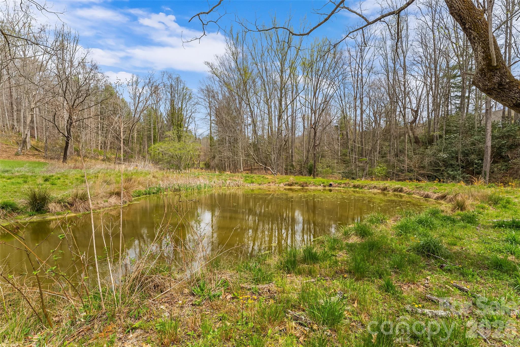 628 Brush Creek Road — Fairview