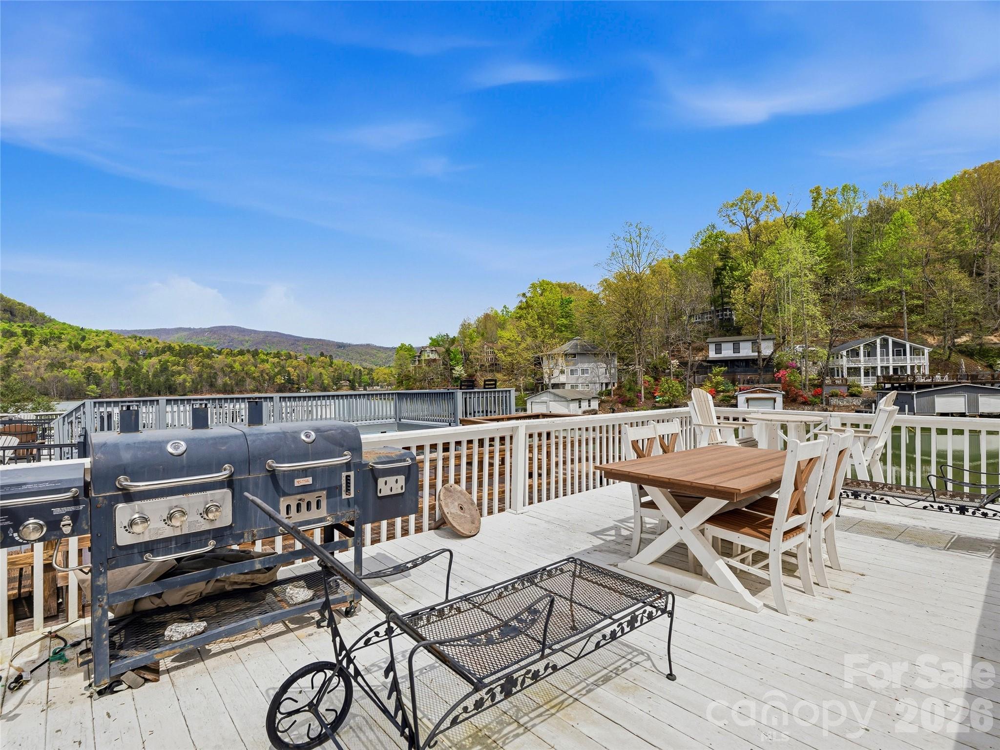 102 Havnaers Point — Lake Lure