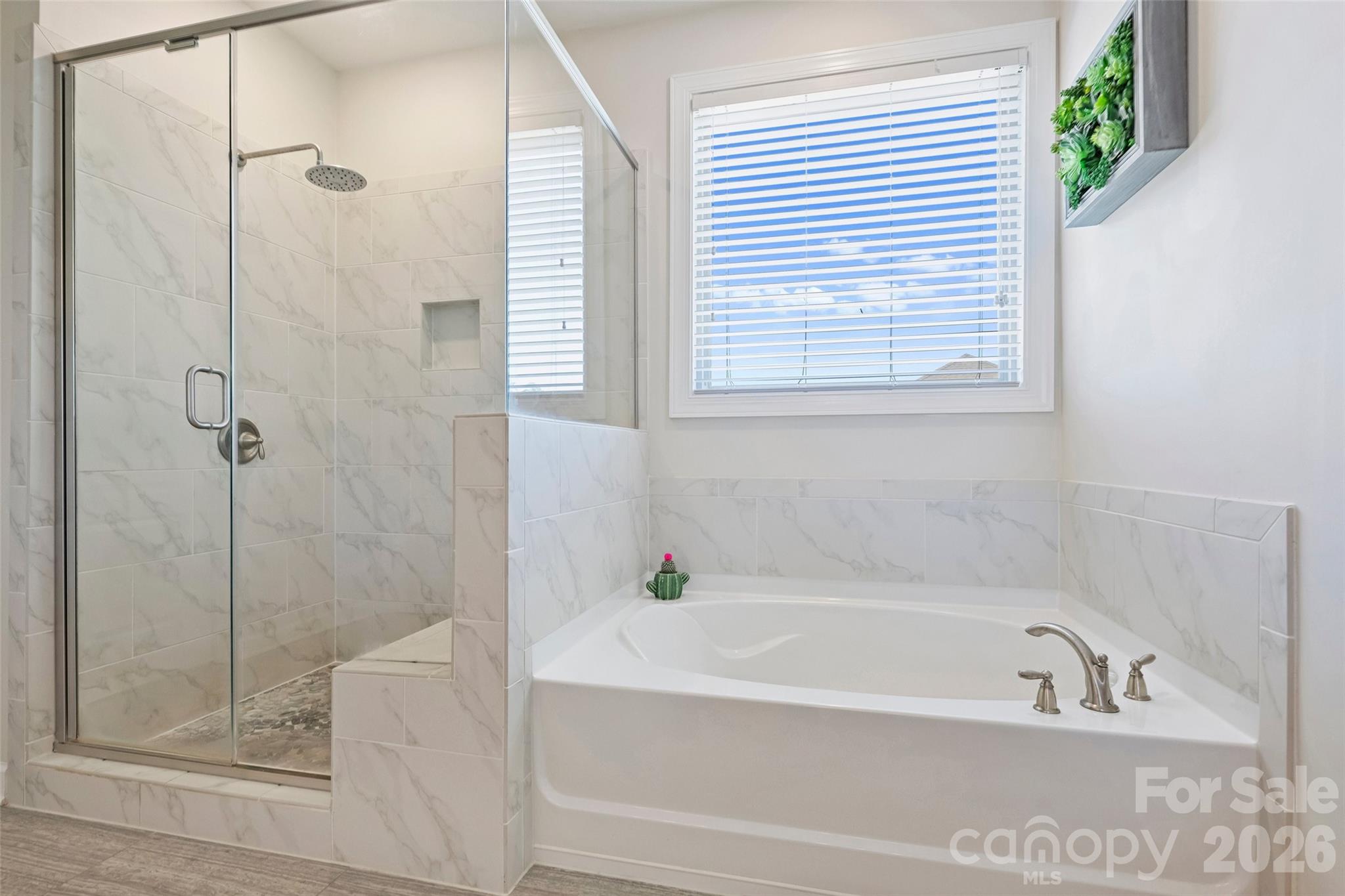 294 S San Agustin Drive — Mooresville