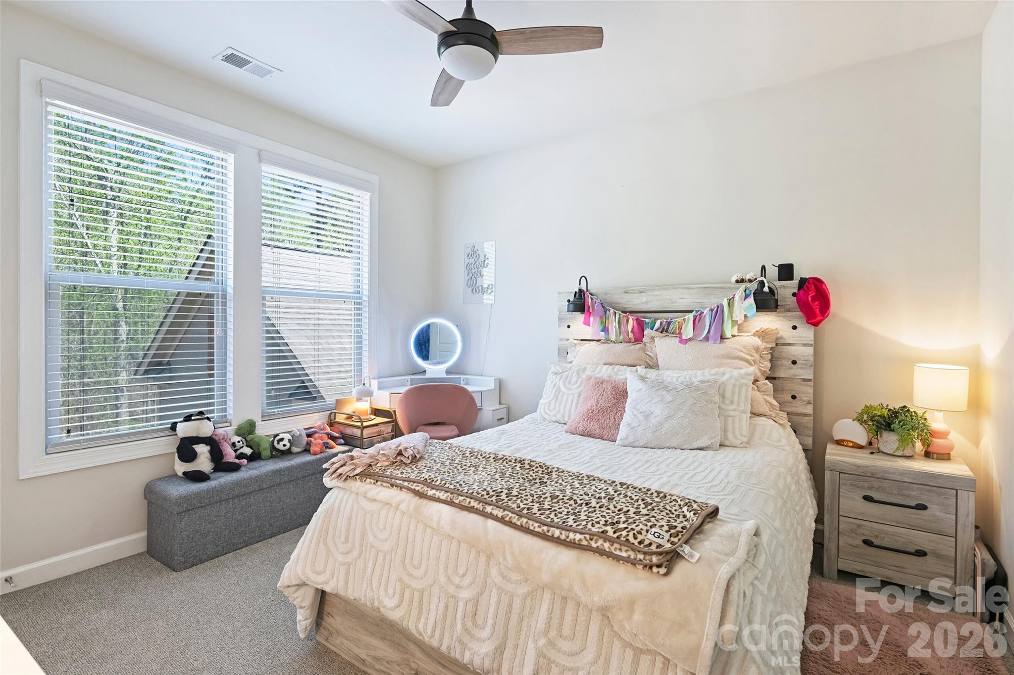 294 S San Agustin Drive — Mooresville