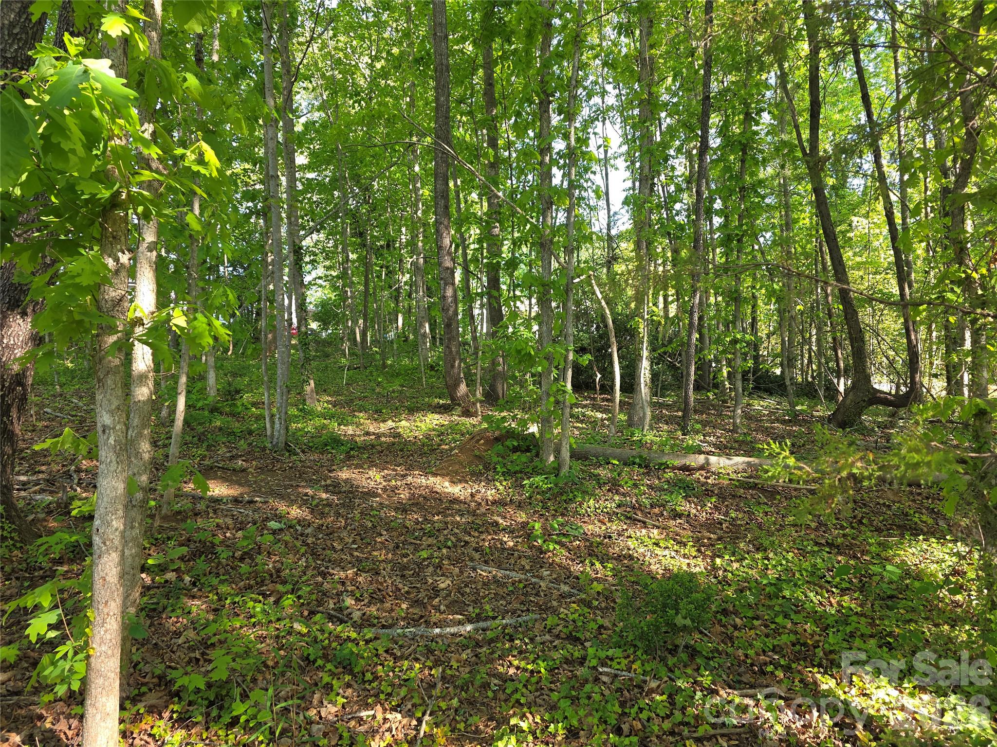 55 Cypress Road — Marion