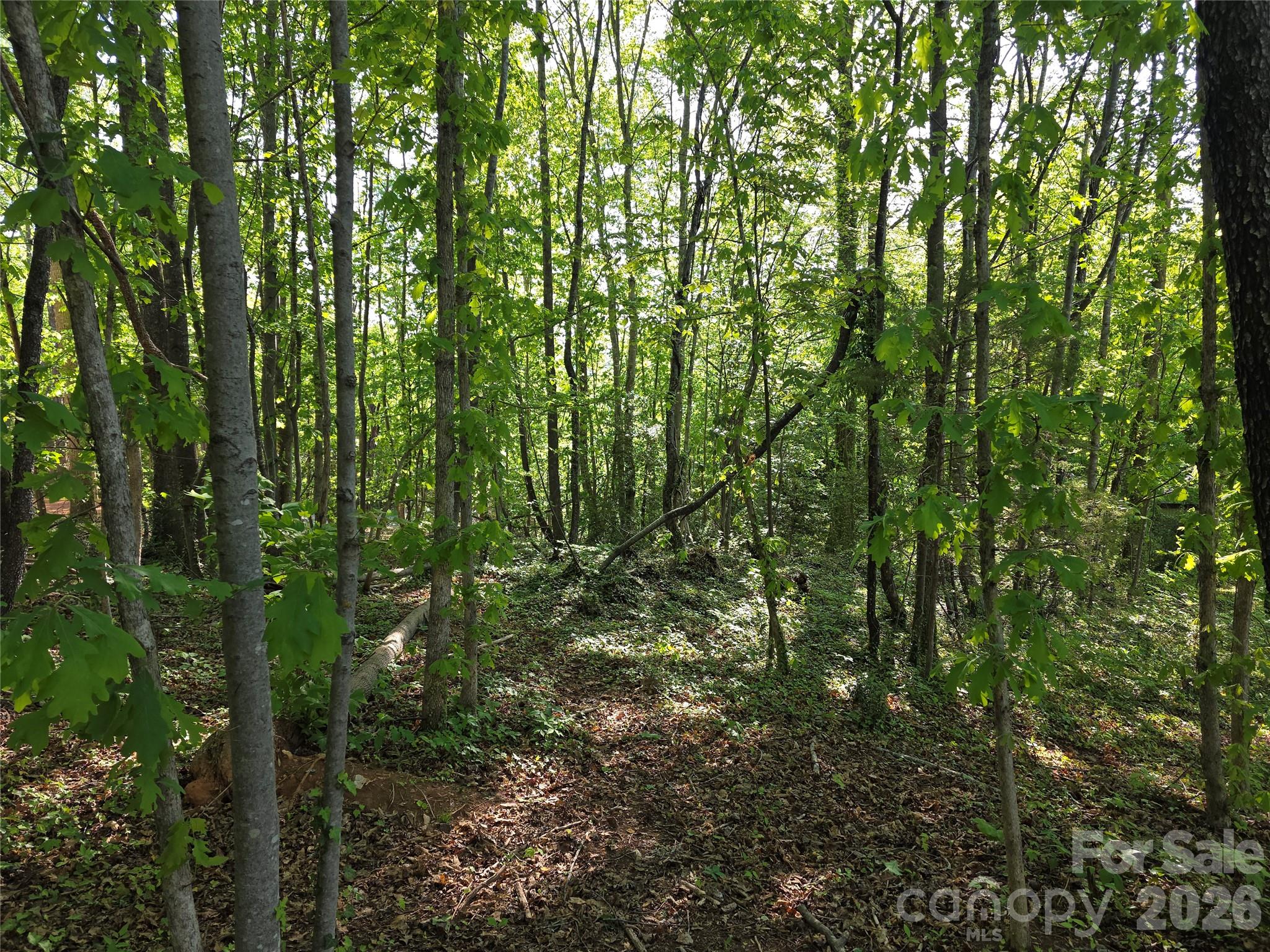 55 Cypress Road — Marion