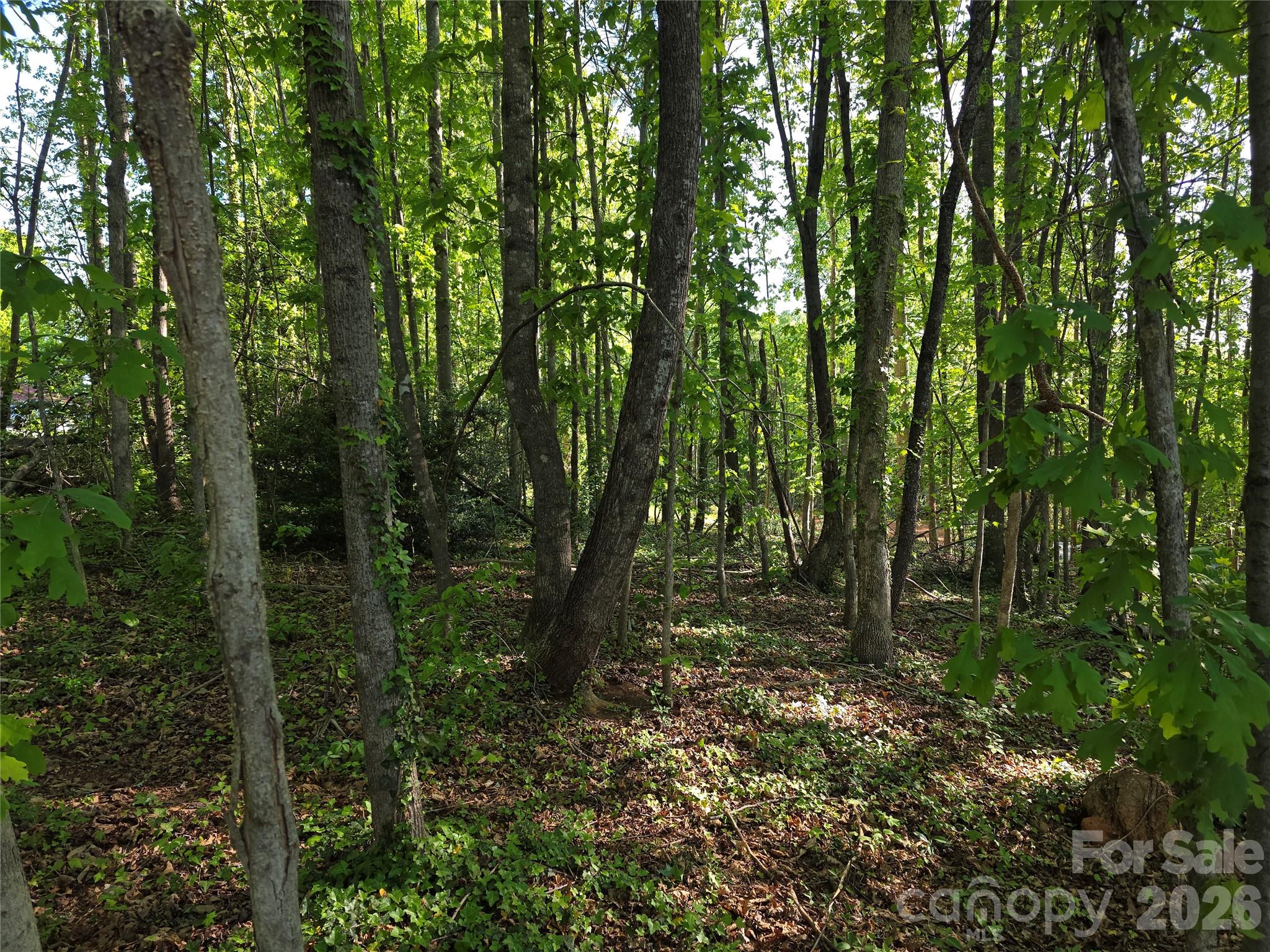 55 Cypress Road — Marion