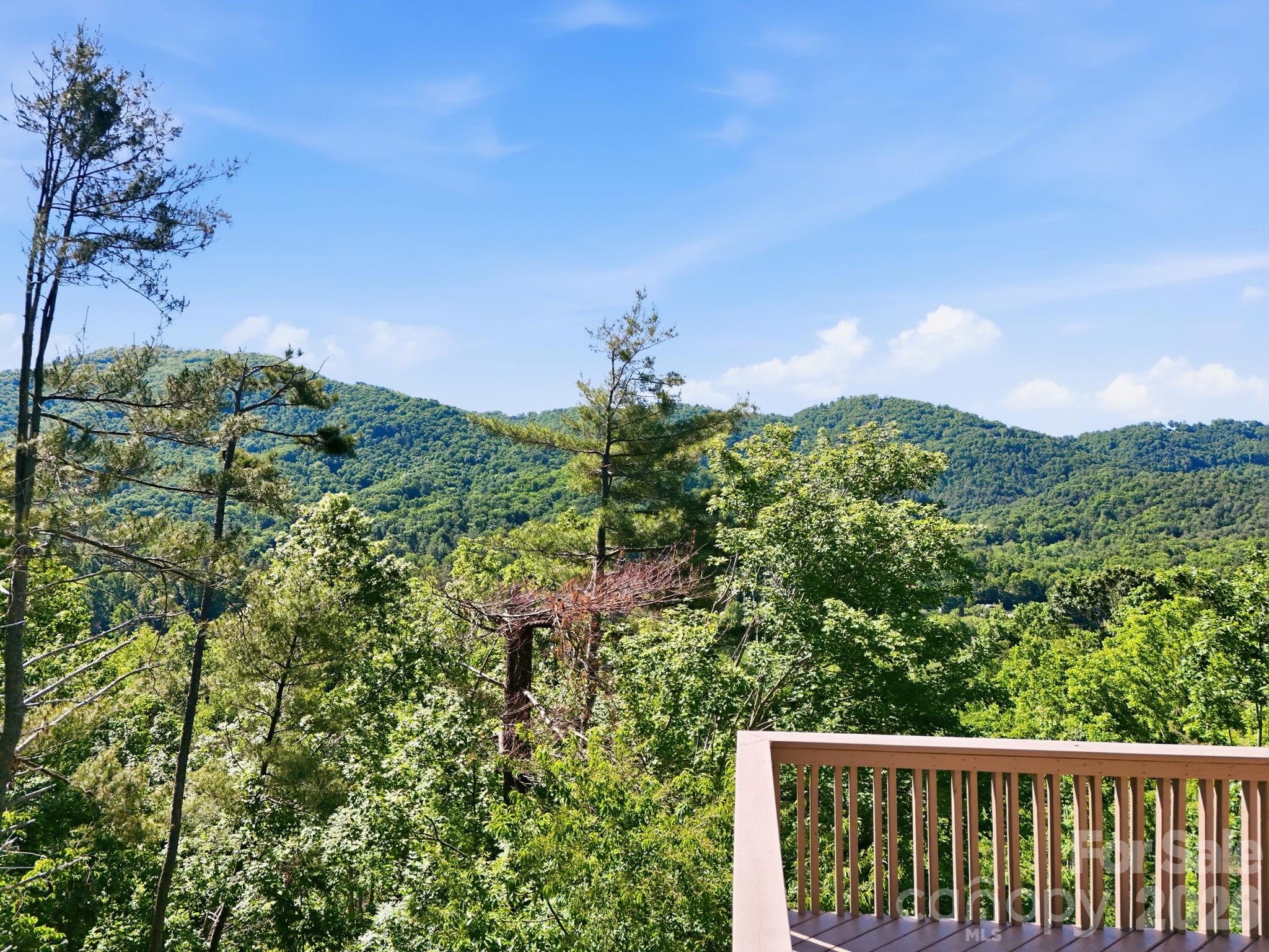 68 Stony Ridge — Asheville