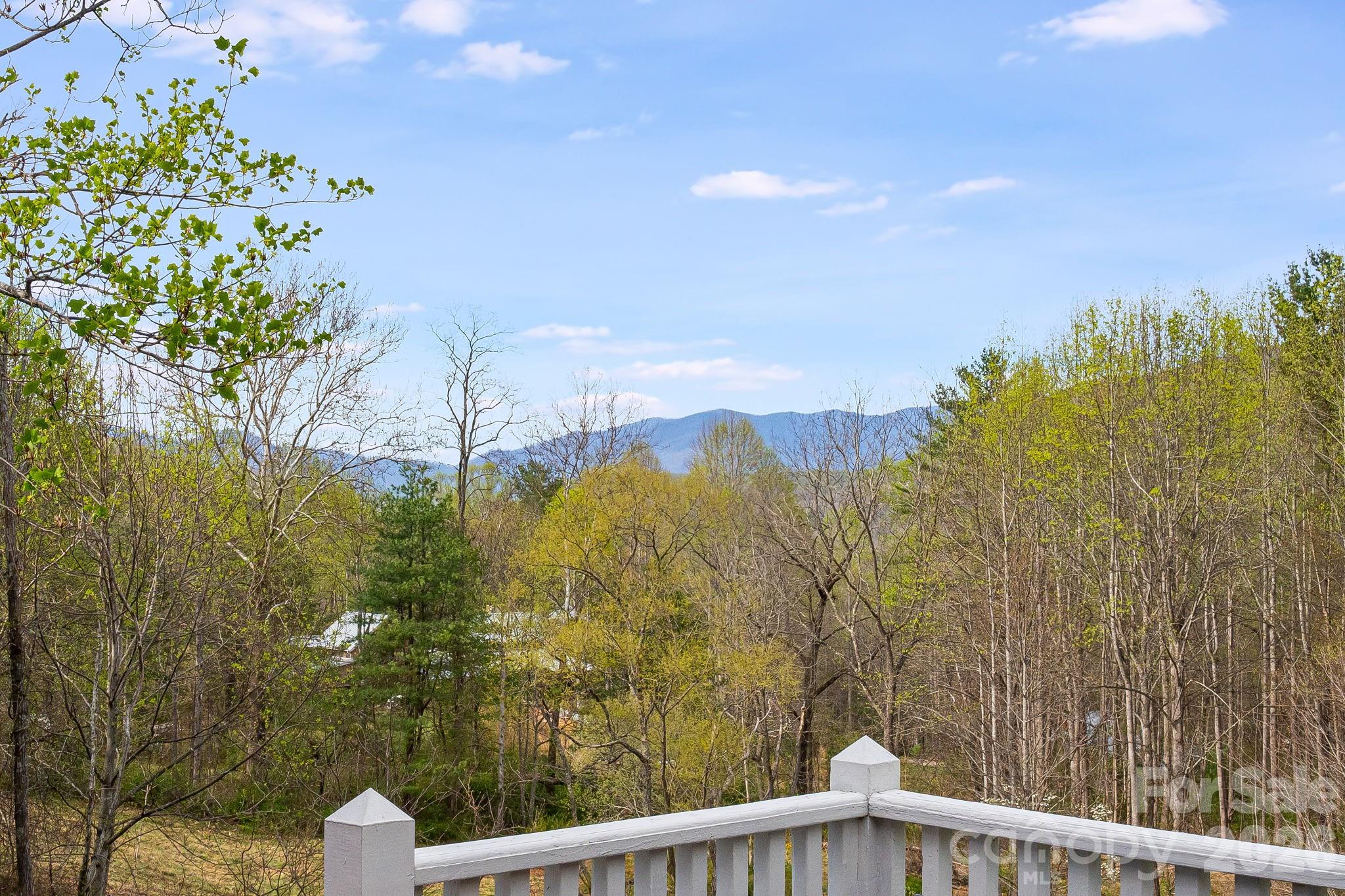92 Rose Hill Road — Asheville