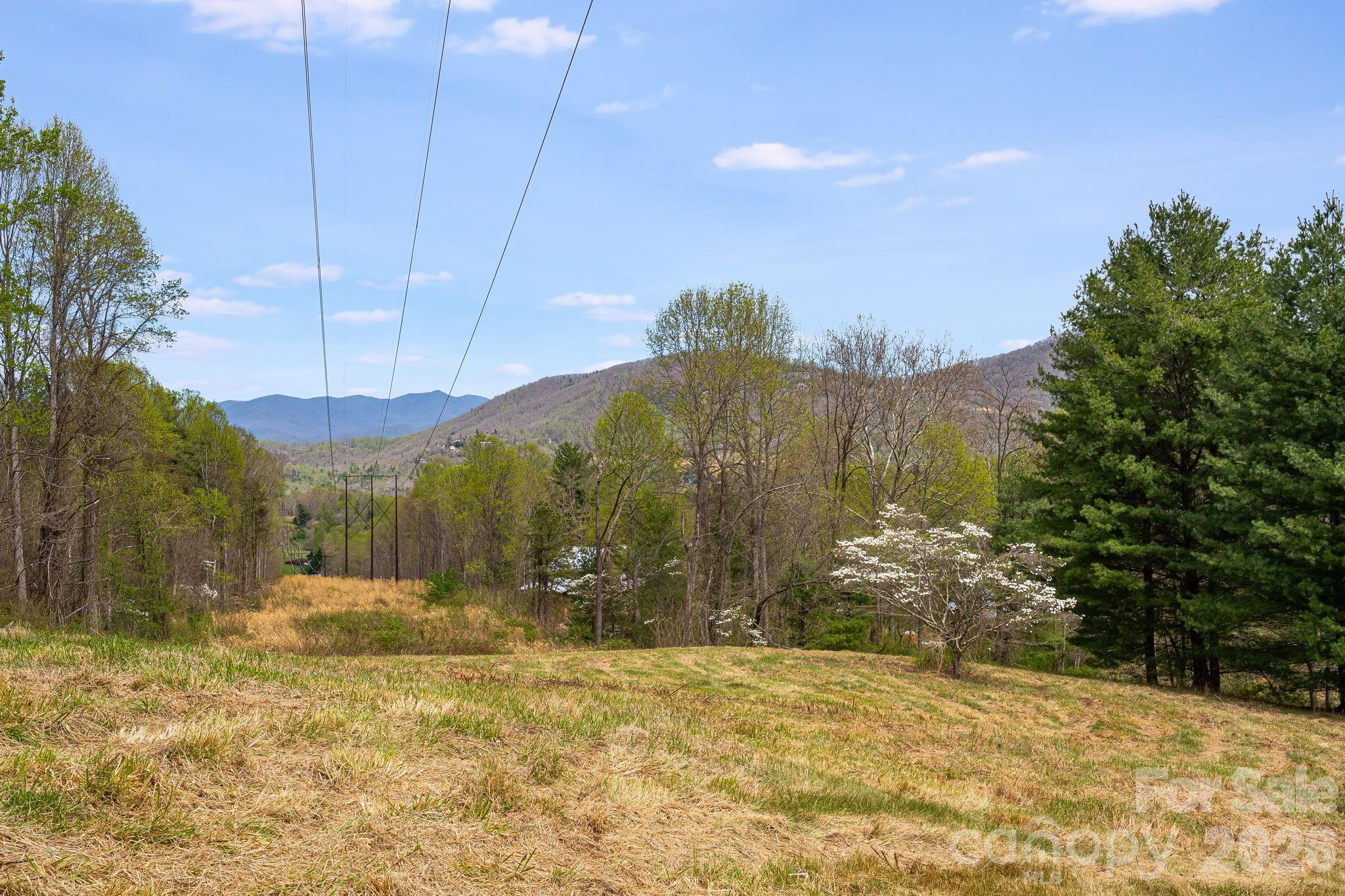 92 Rose Hill Road — Asheville