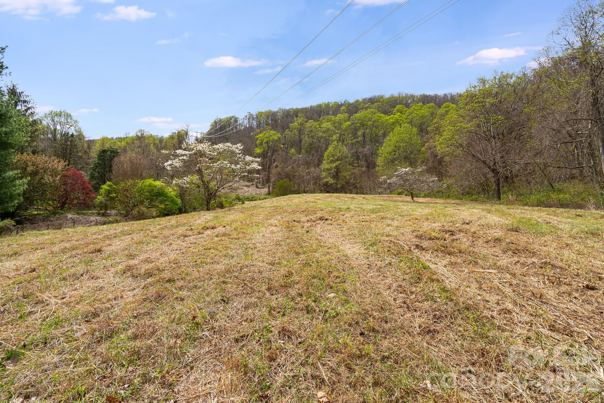 92 Rose Hill Road — Asheville