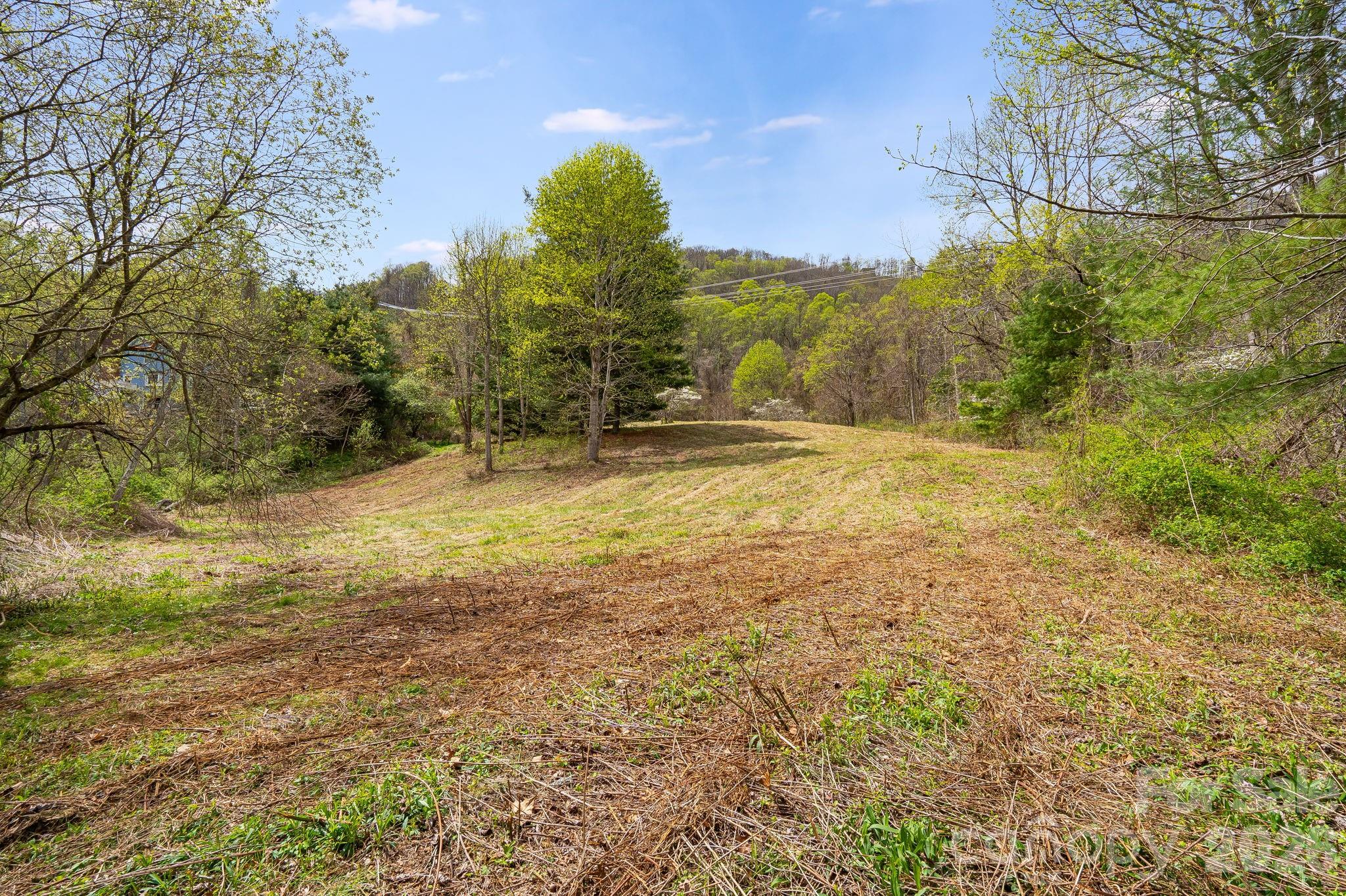 92 Rose Hill Road — Asheville