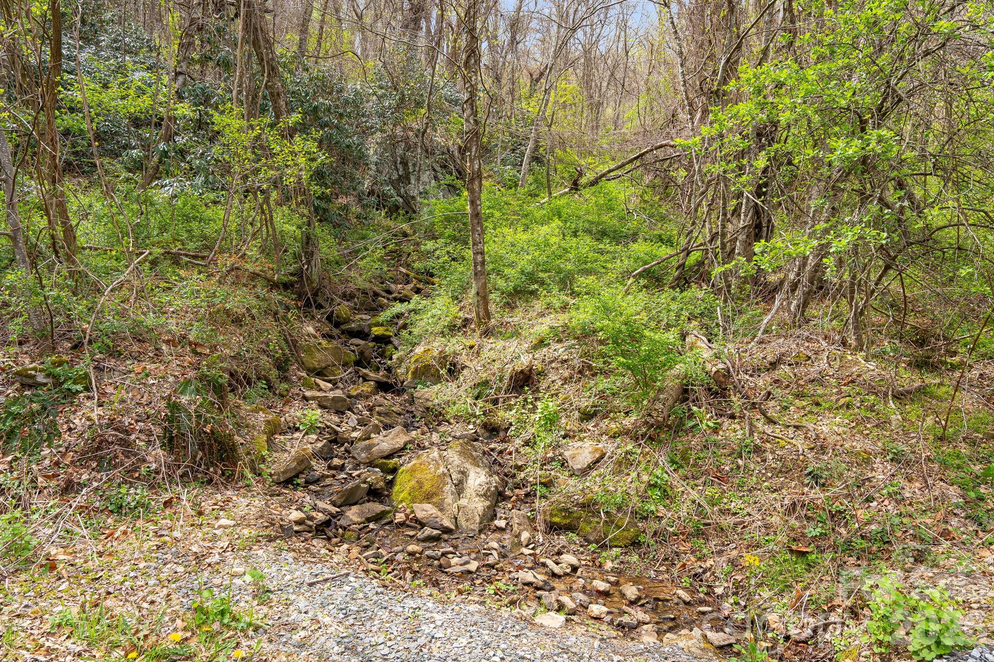92 Rose Hill Road — Asheville