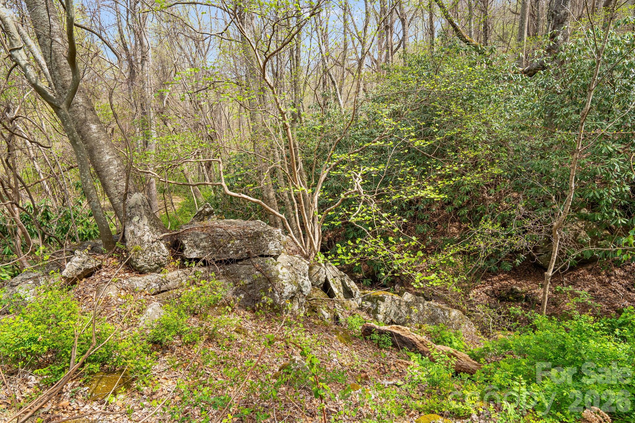 92 Rose Hill Road — Asheville
