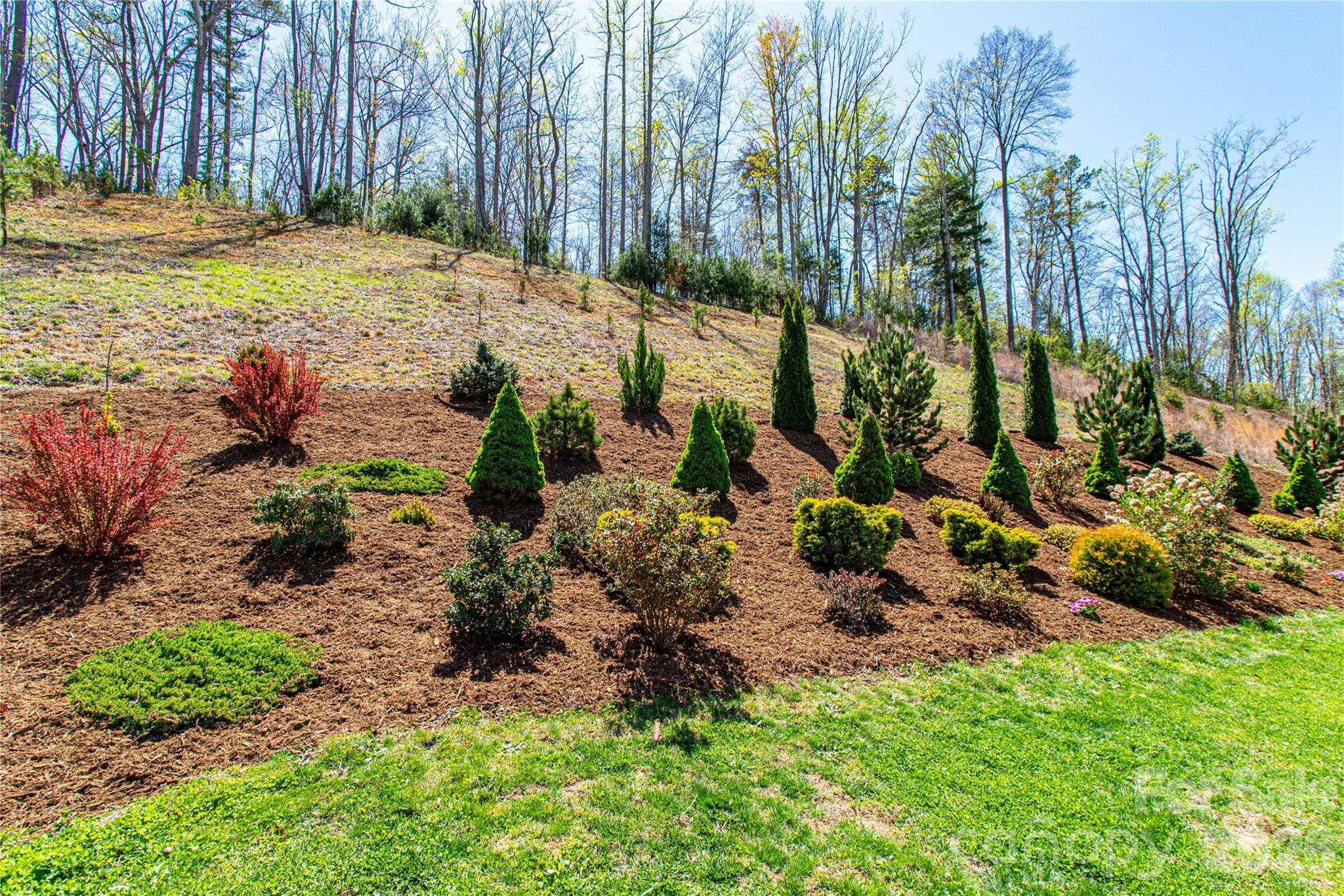 153 Water Leaf Drive — Weaverville