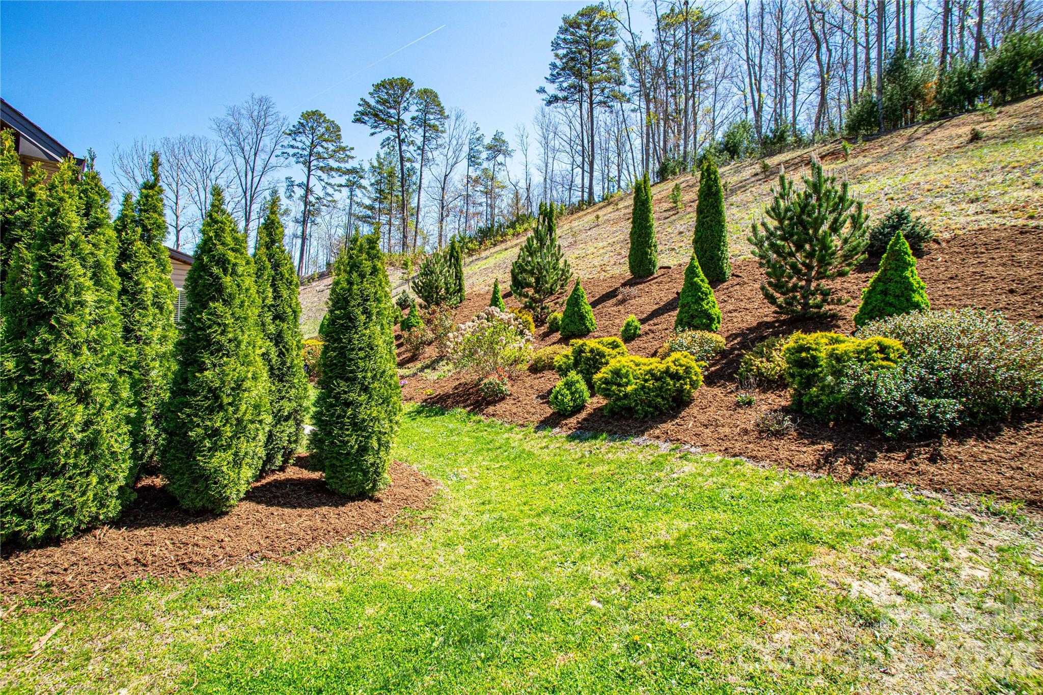 153 Water Leaf Drive — Weaverville