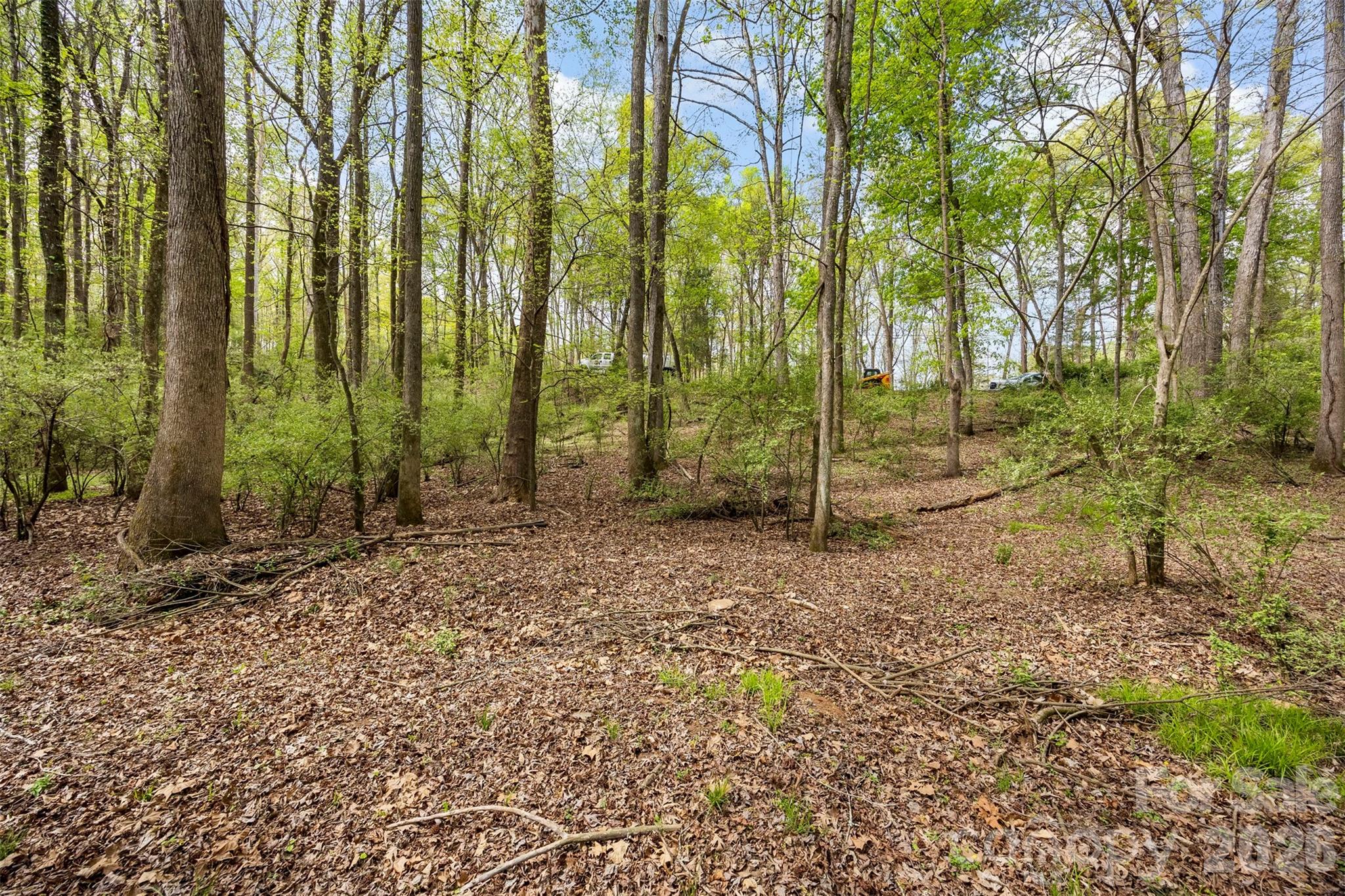 10601 Wildlife Road — Charlotte