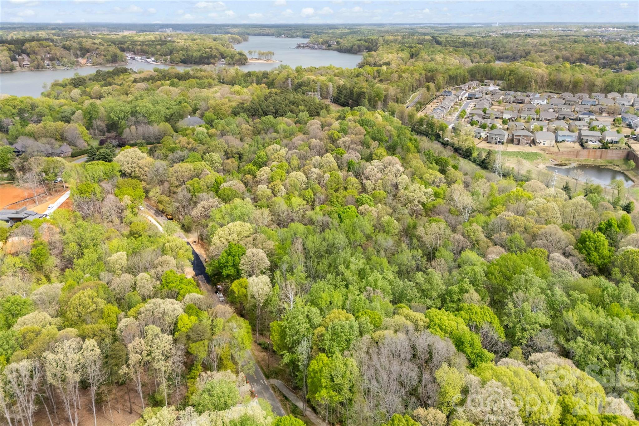 10601 Wildlife Road — Charlotte