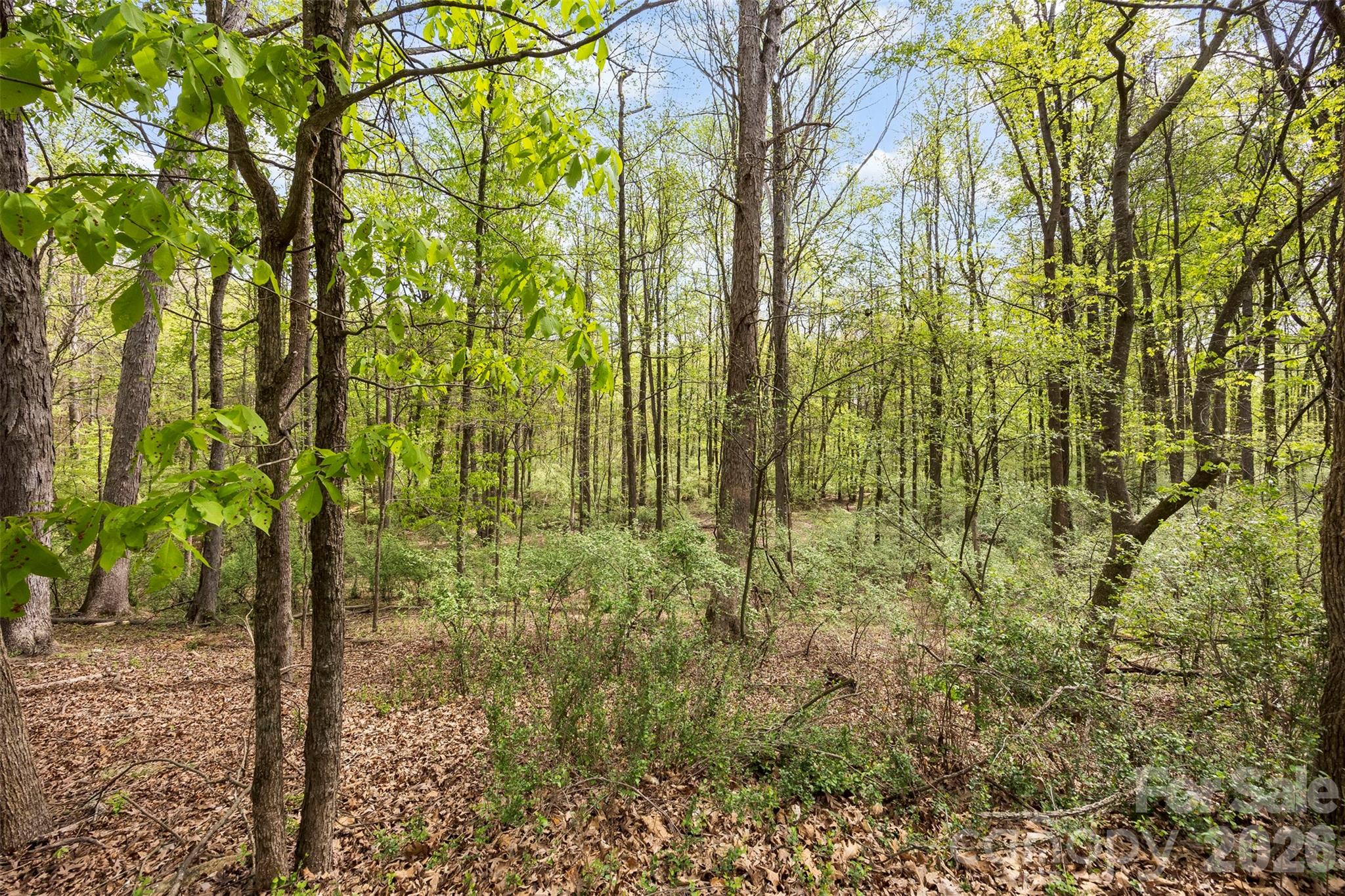 10601 Wildlife Road — Charlotte