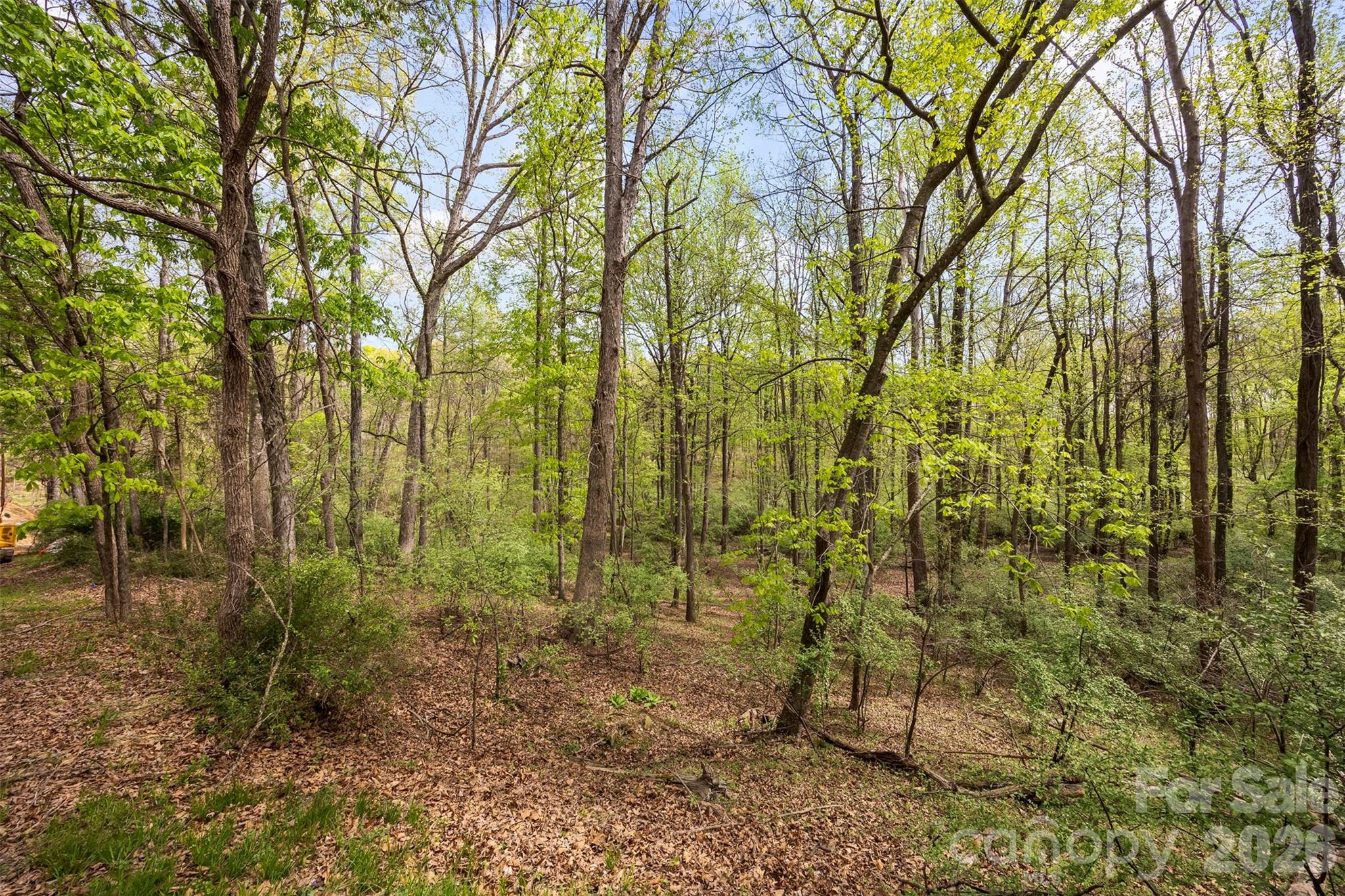 10601 Wildlife Road — Charlotte