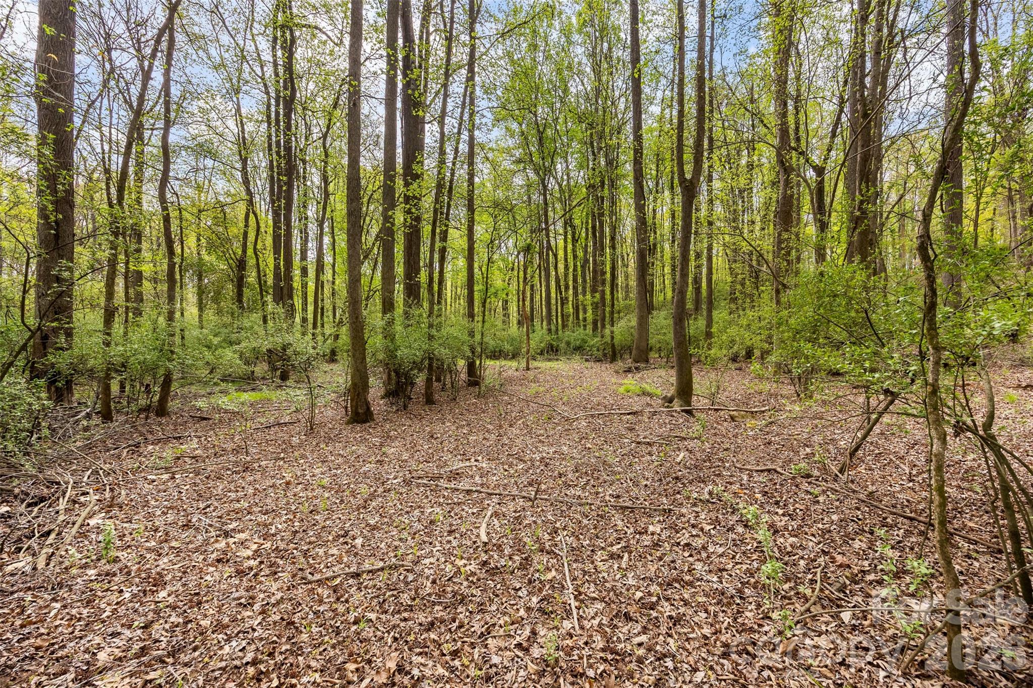 10601 Wildlife Road — Charlotte