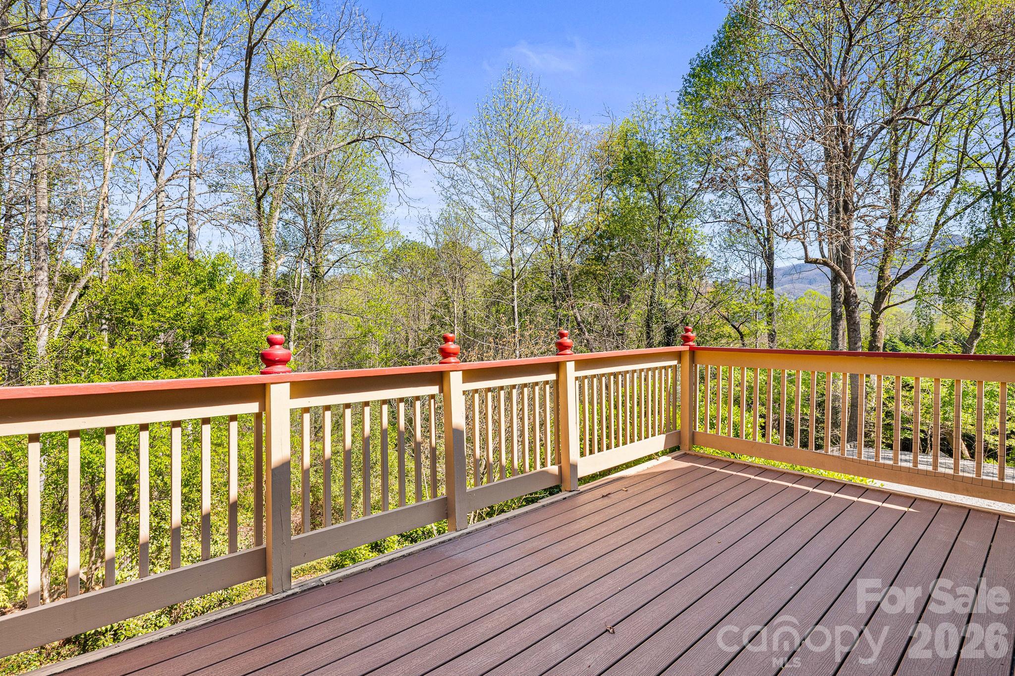 114 Walker Street — Black Mountain