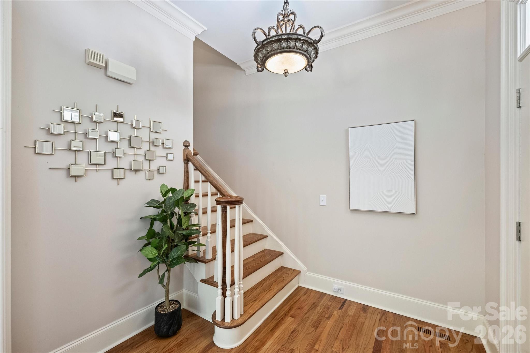 1115 S Kings Drive — Charlotte