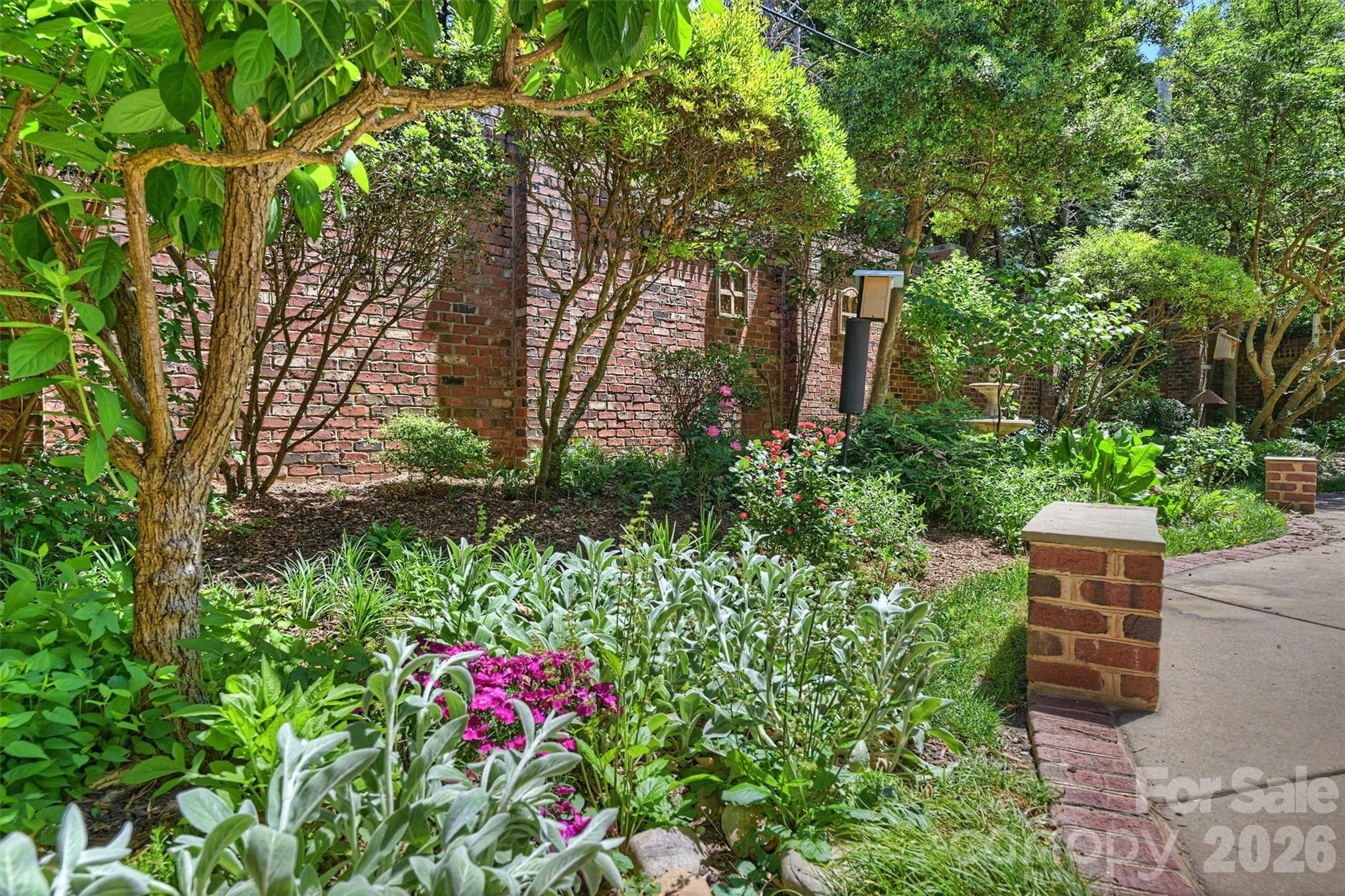 1115 S Kings Drive — Charlotte