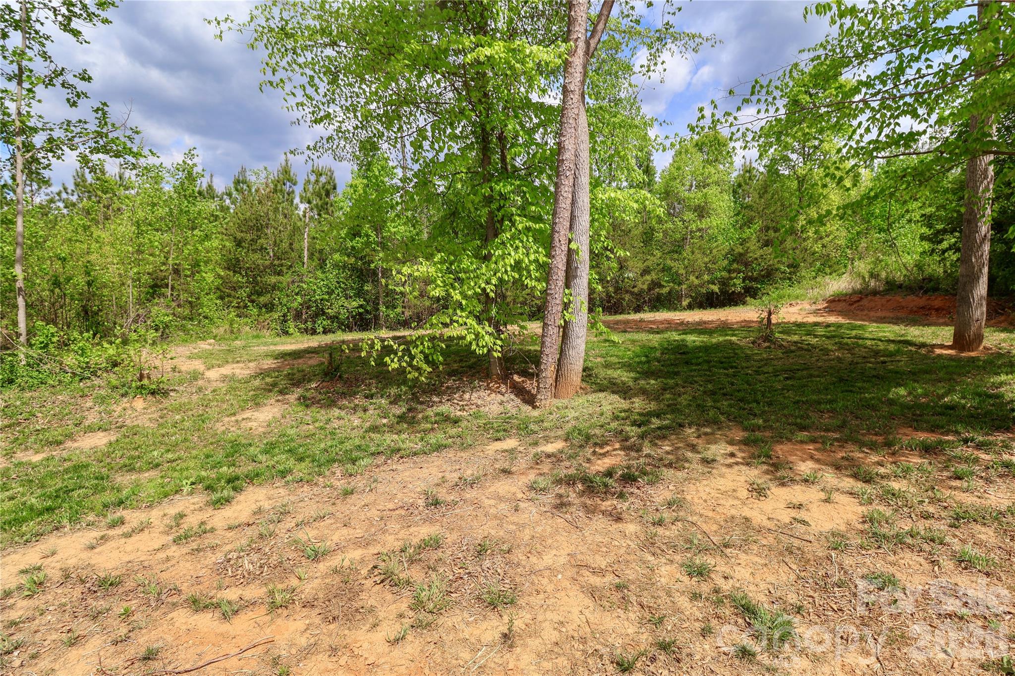 162 Four Andrews Drive — Harmony