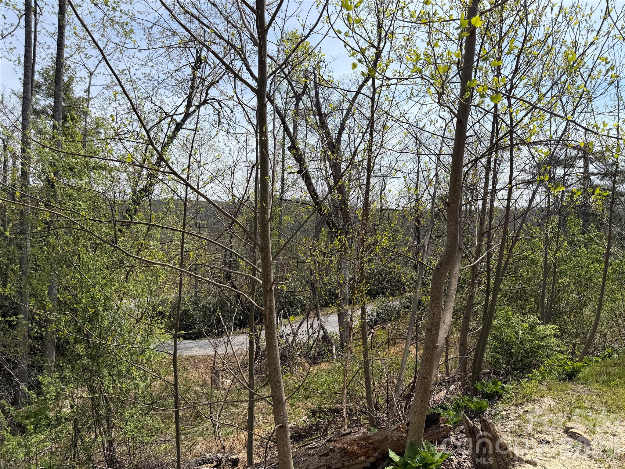 273 McMillan Drive — Hendersonville