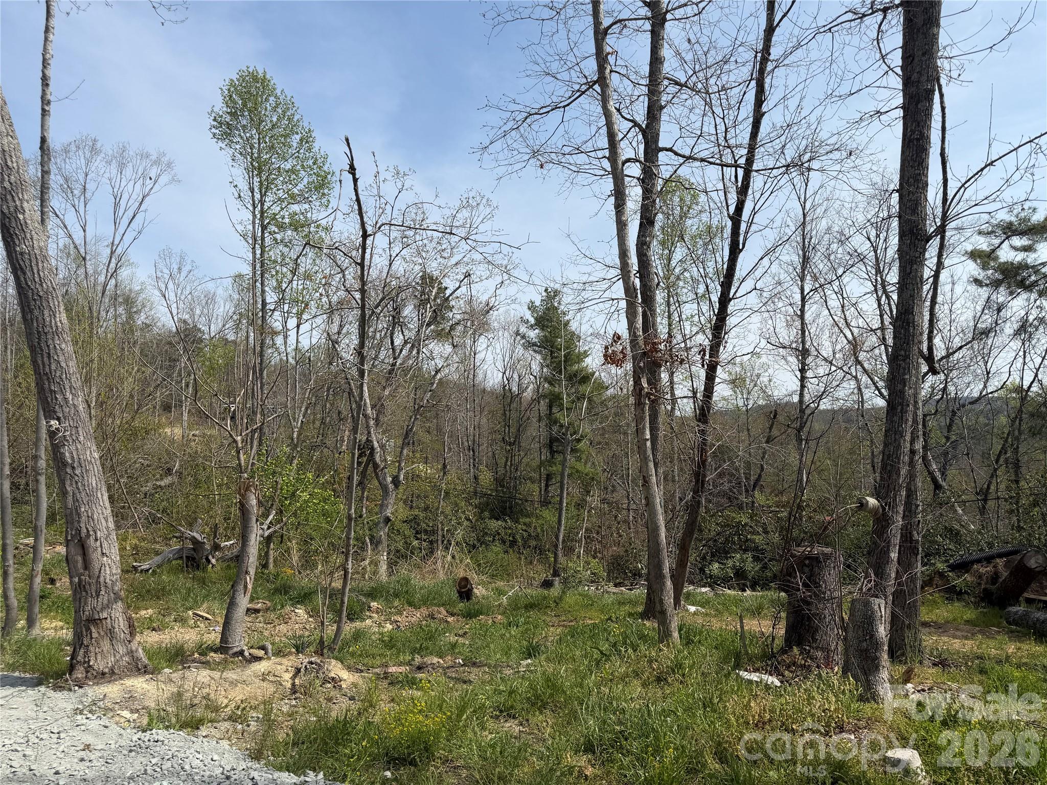 273 McMillan Drive — Hendersonville