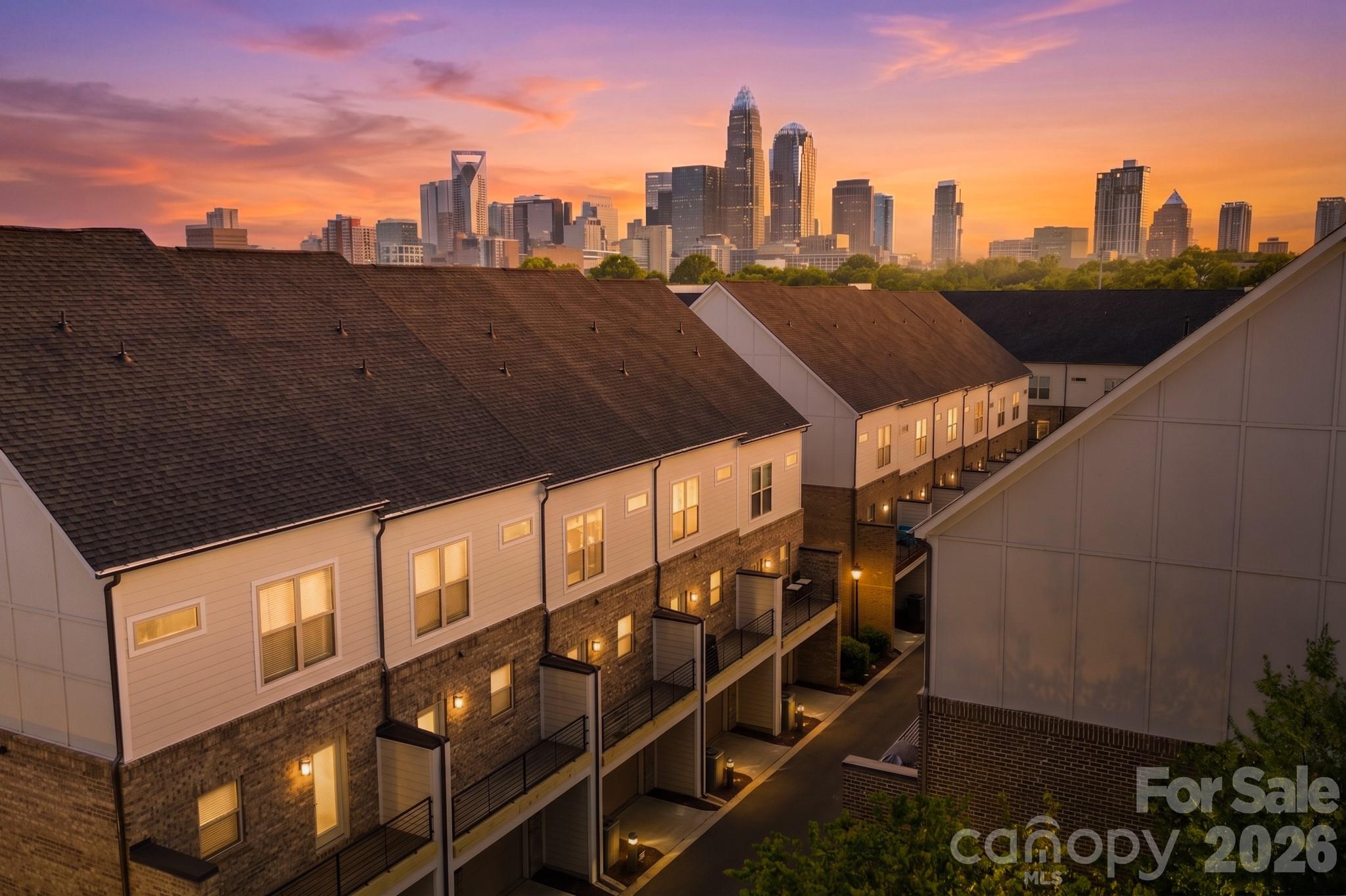 15036 New Amsterdam Lane — Charlotte