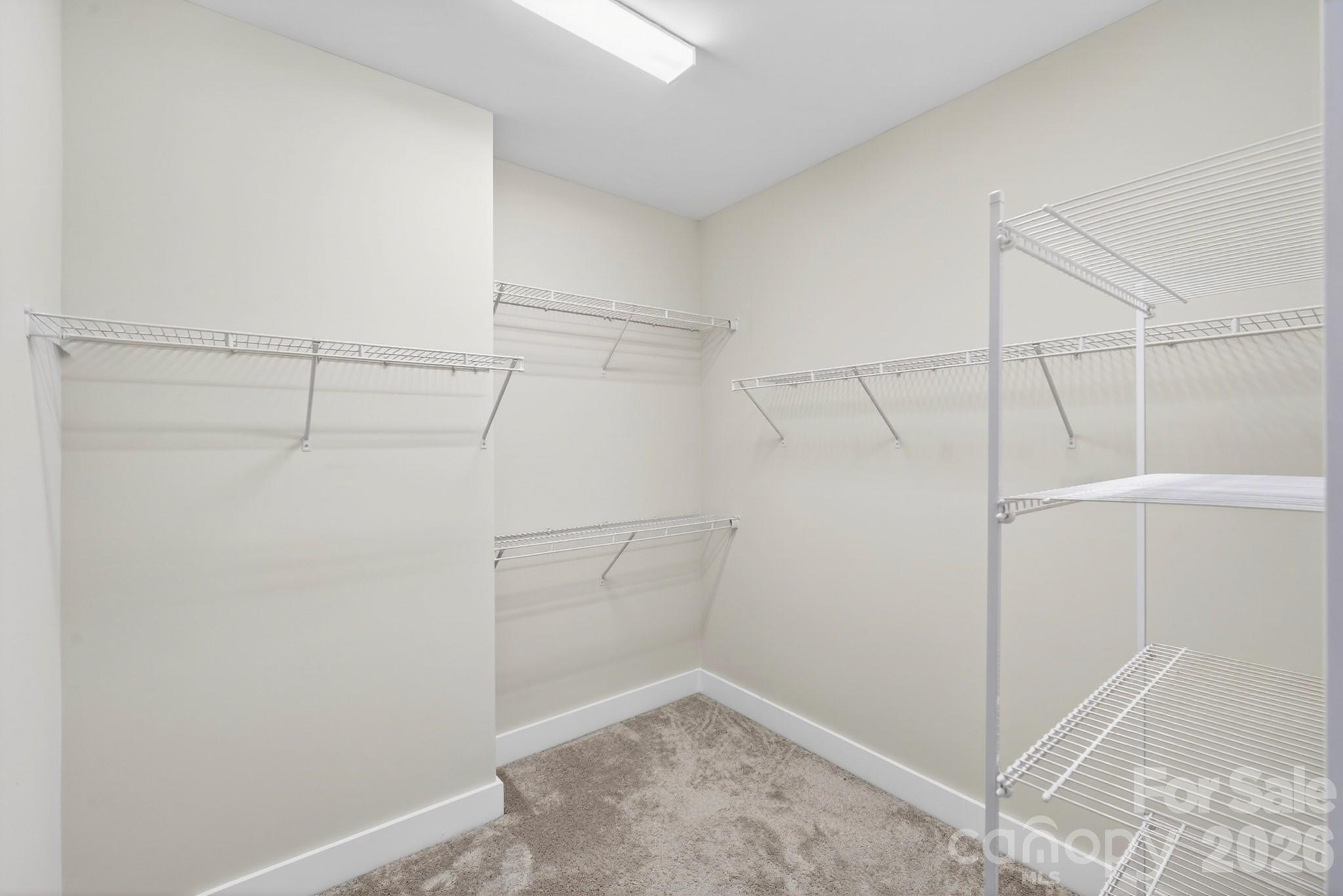 15036 New Amsterdam Lane — Charlotte